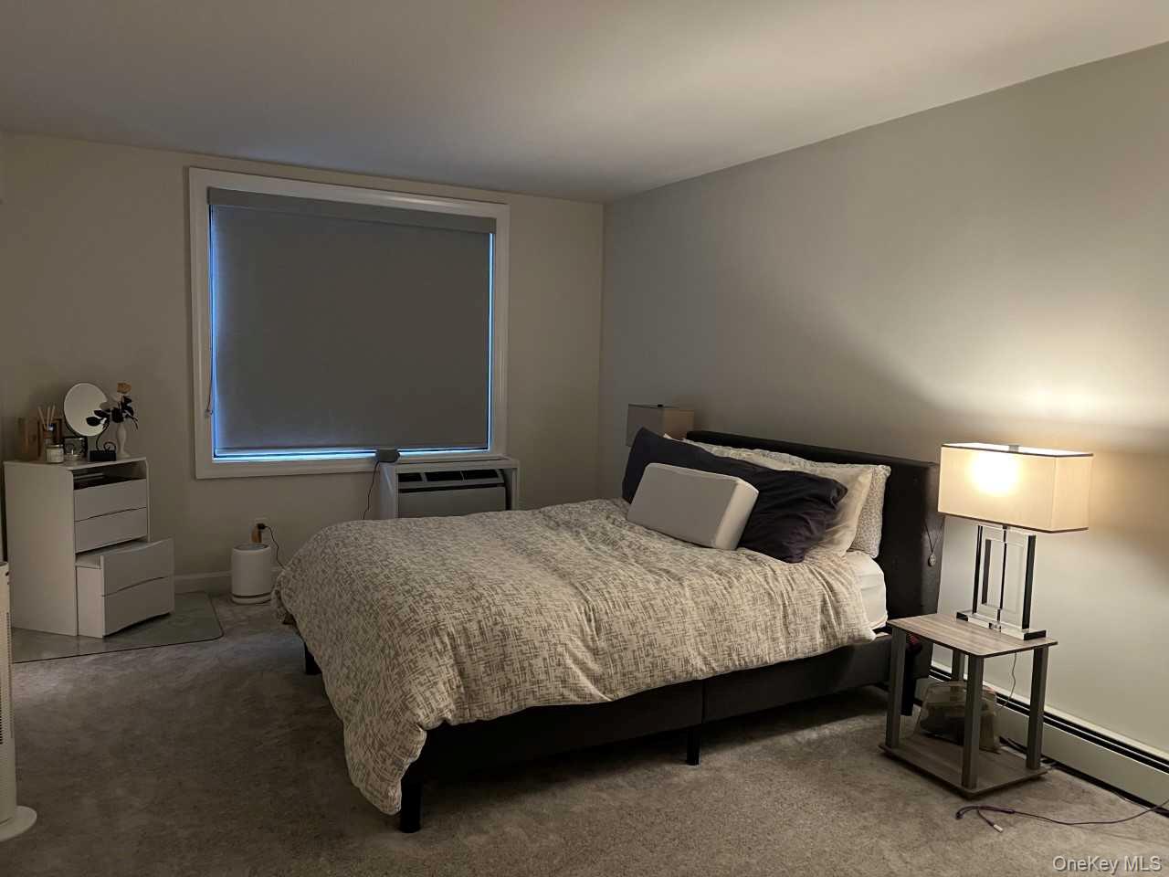 #11 photo, 101 Jackson Avenue, ナッソー郡 Mineola , NY 11501