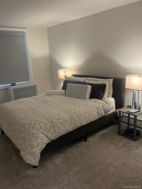 #9 photo, 101 Jackson Avenue, নাসাউ কাউন্টি Mineola , NY 11501