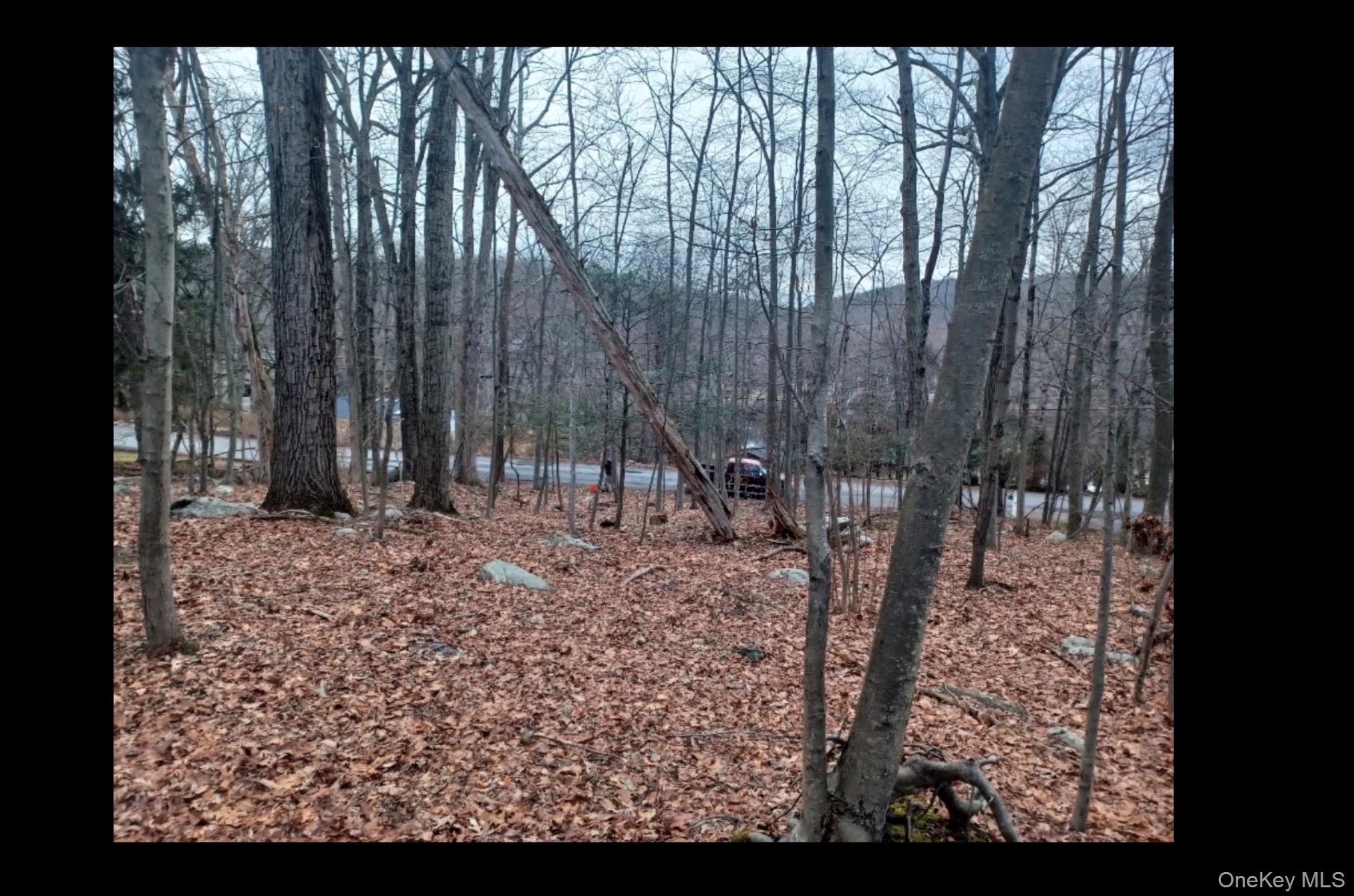 #2 photo, 27 Jean Drive, Cortlandt Manor , NY 10567