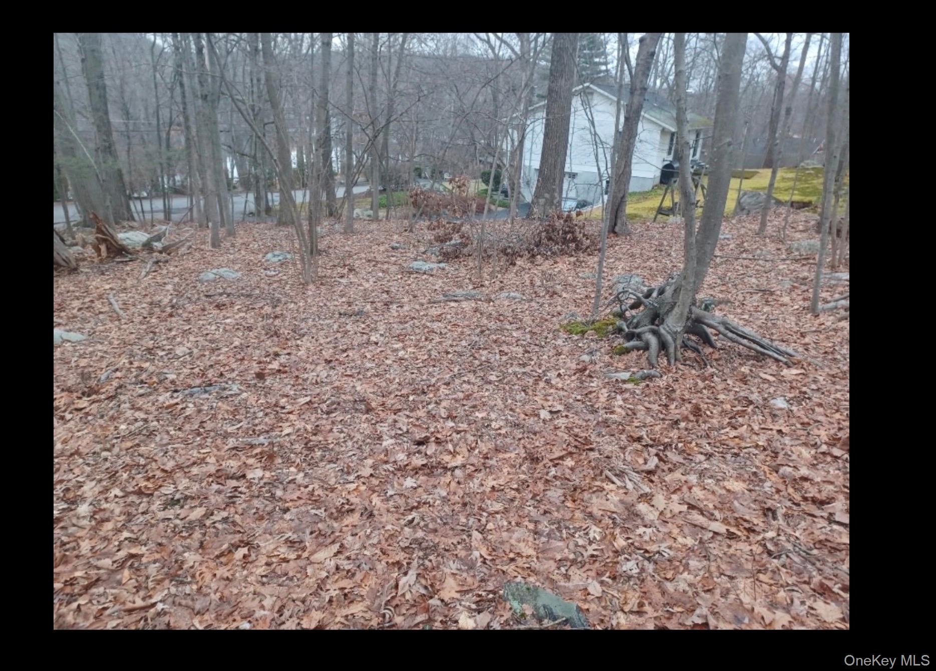 #3 photo, 27 Jean Drive, Cortlandt Manor , NY 10567