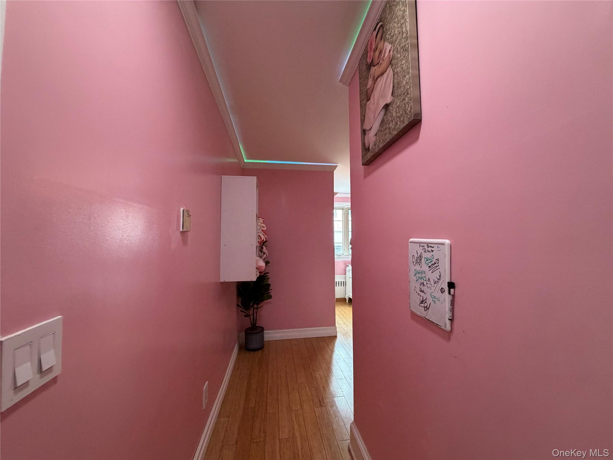 #9 photo, 381 Marguerite Avenue, South Floral Park , NY 11001