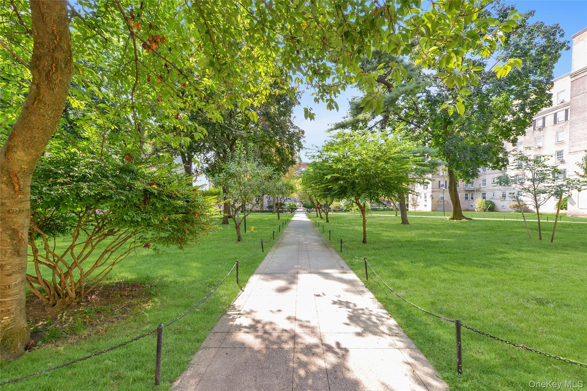 #19 photo, 51-40 30th Avenue, クイーンズ区 Woodside , NY 11377