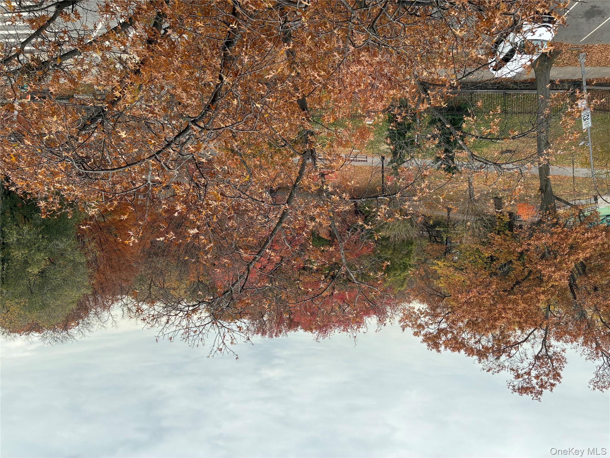 #3 photo, 610 Waring Avenue, ব্রঙ্কস Bronx , NY 10467