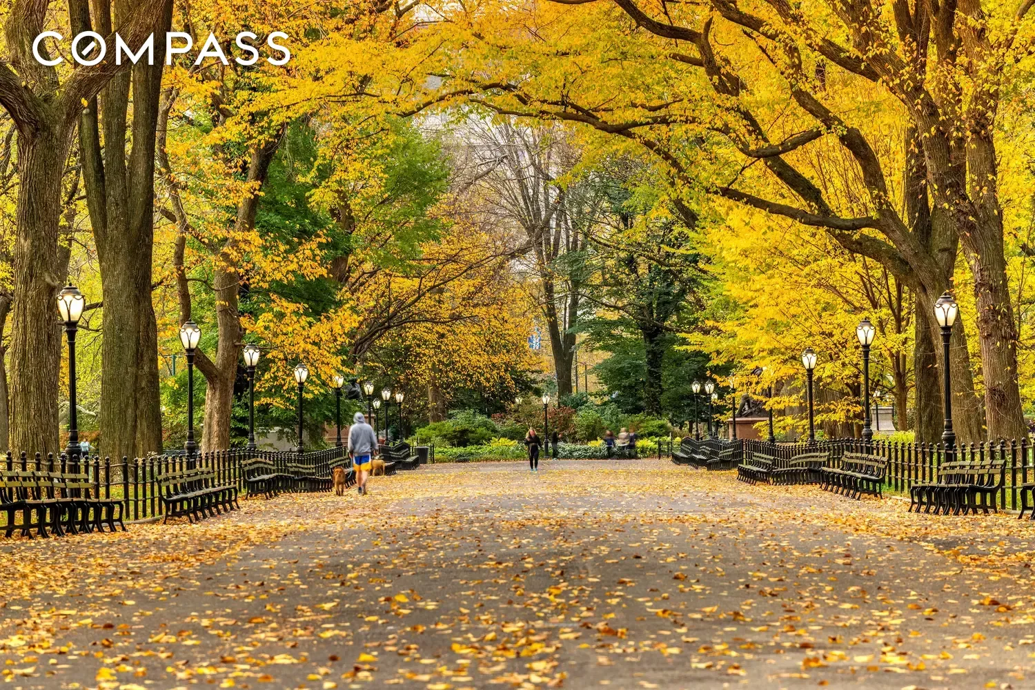 #16 photo, 304 W 88th Street, Upper West Side , NY 10024