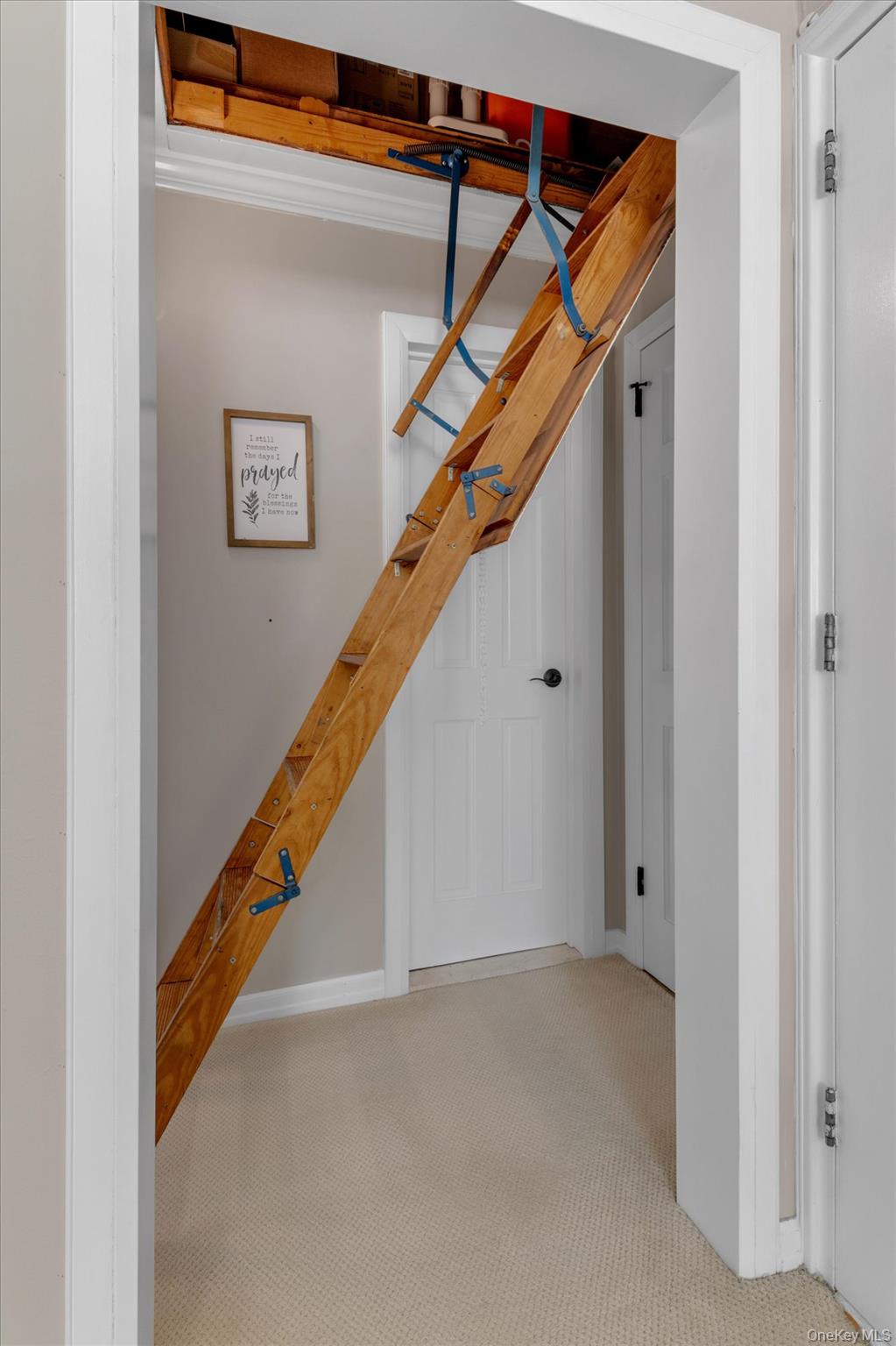 #12 photo, 60-22 251st Street, কুইন্‌স Little Neck , NY 11362