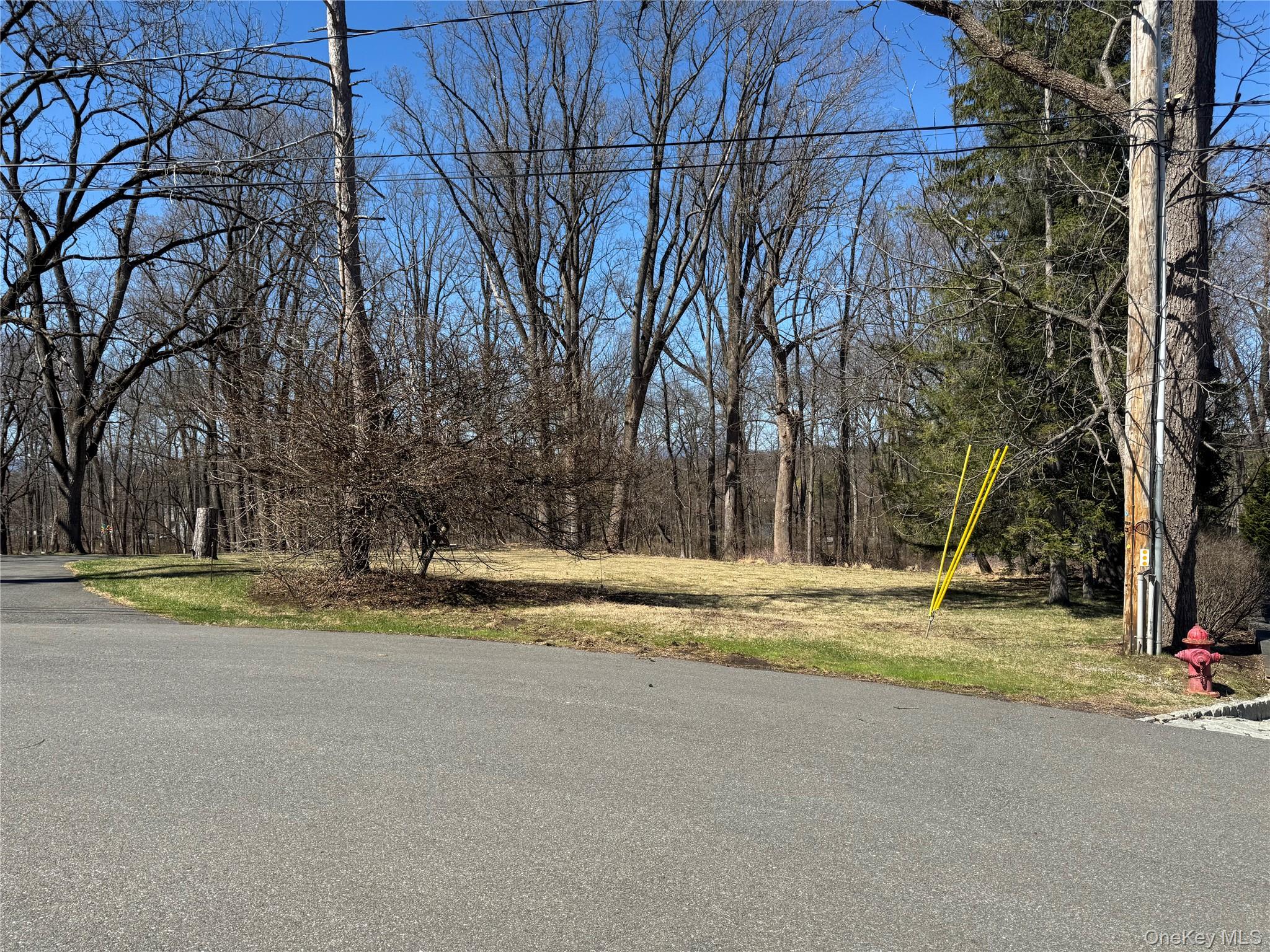 #3 photo, 60 Locust Grove, Rhinebeck , NY 12572