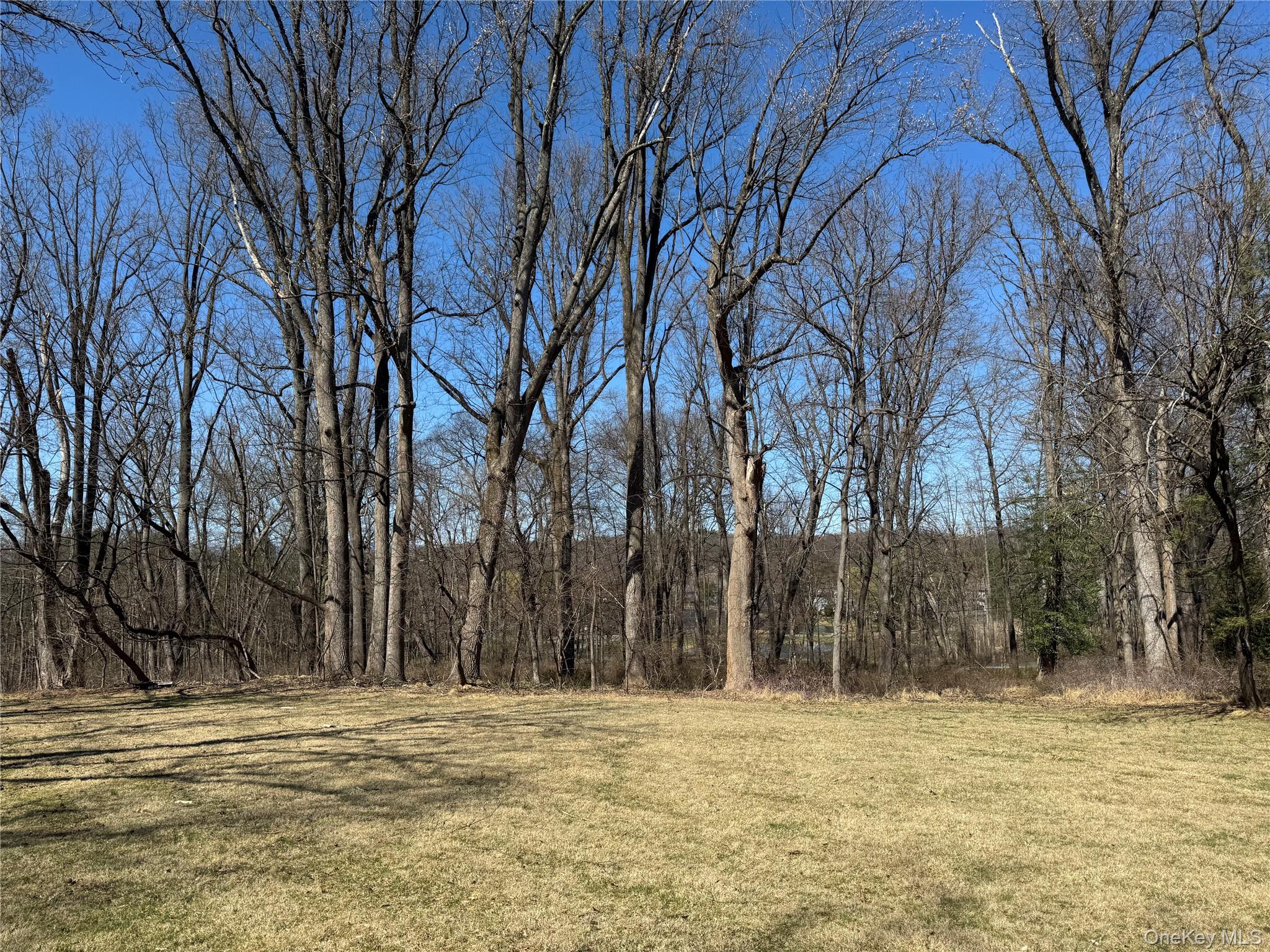 #4 photo, 60 Locust Grove, Rhinebeck , NY 12572