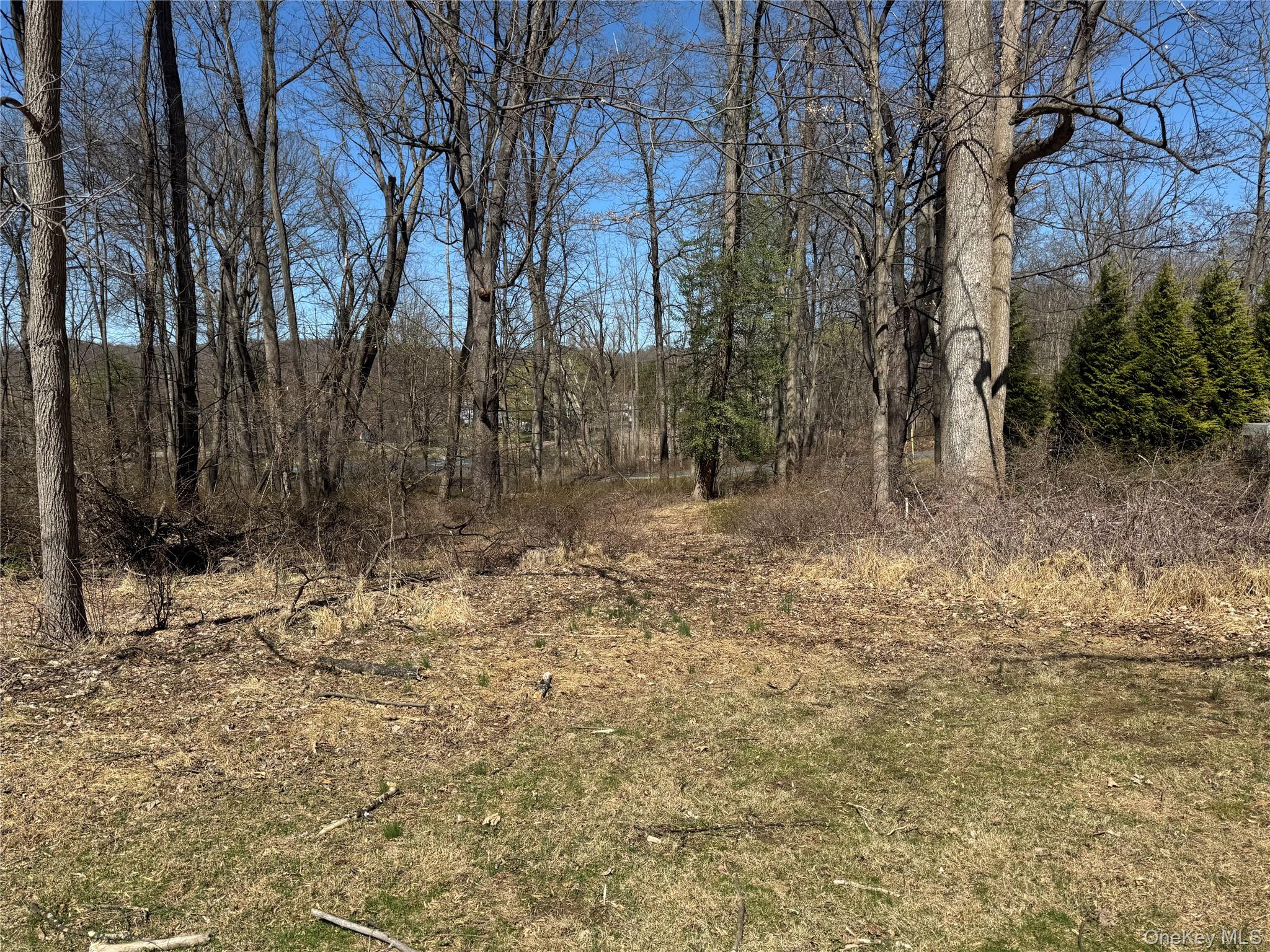 #5 photo, 60 Locust Grove, Rhinebeck , NY 12572