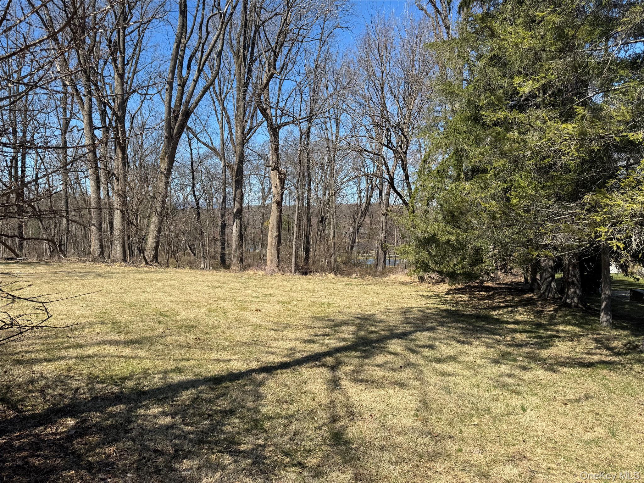 #6 photo, 60 Locust Grove, Rhinebeck , NY 12572