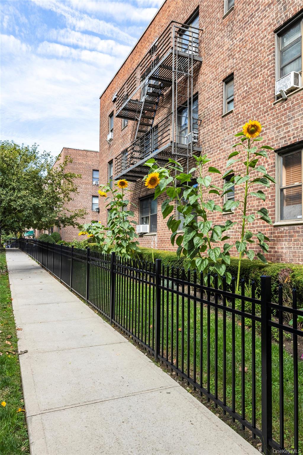 #9 photo, 5225 39th Road, কুইন্‌স Woodside , NY 11377