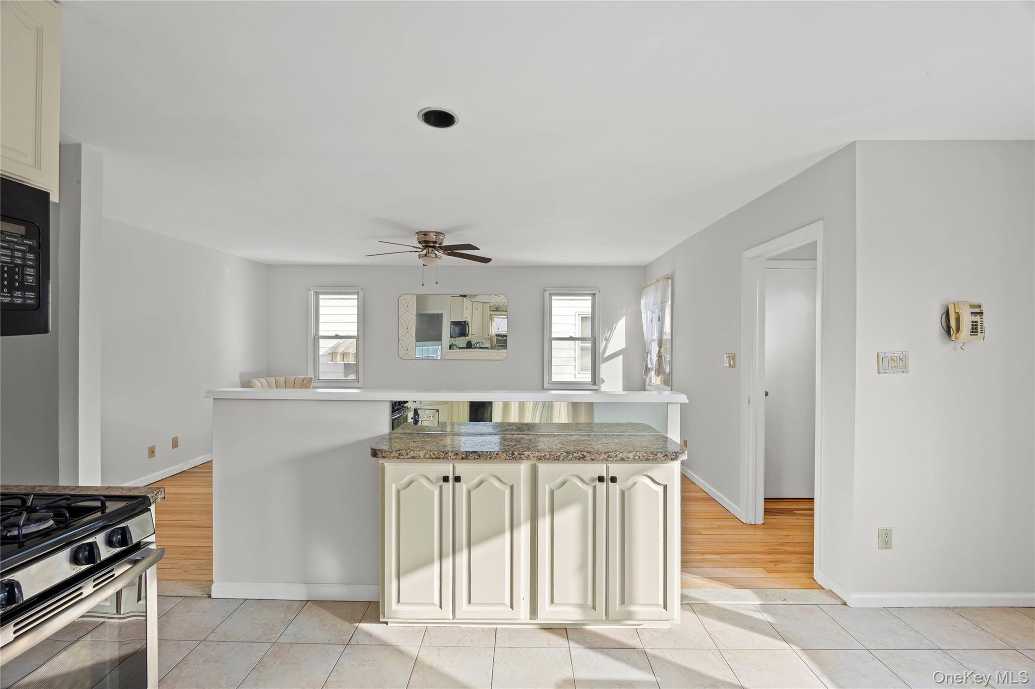 #9 photo, 39 Stewart Street, নাসাউ কাউন্টি Floral Park , NY 11001