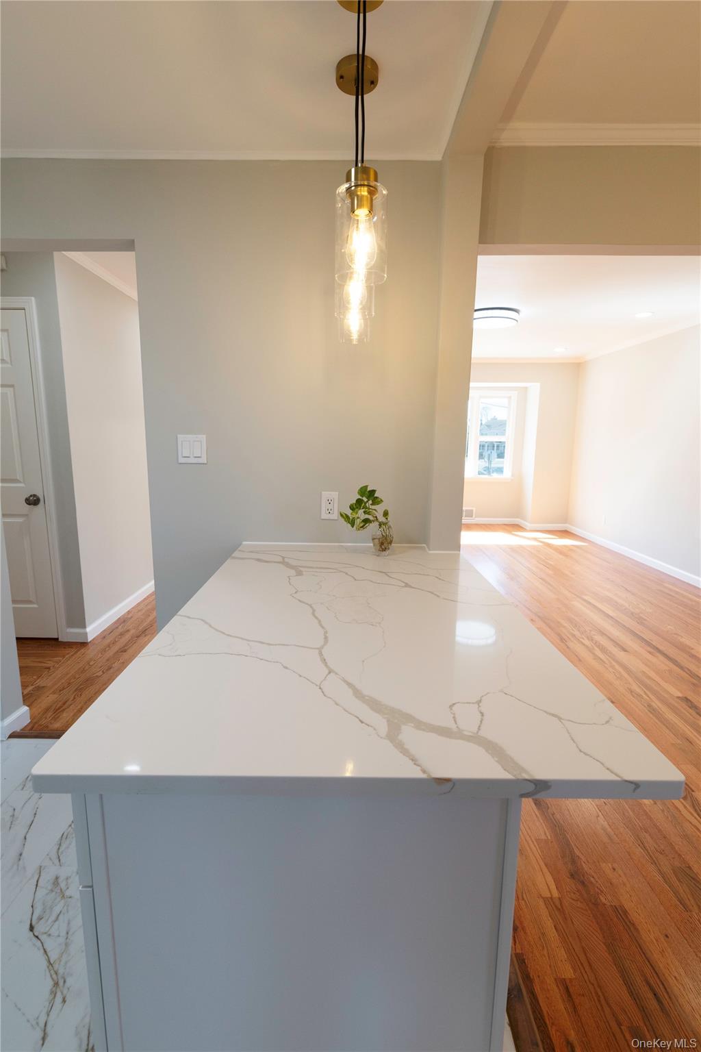 #16 photo, 131 IRA Road, নাসাউ কাউন্টি Syosset , NY 11791