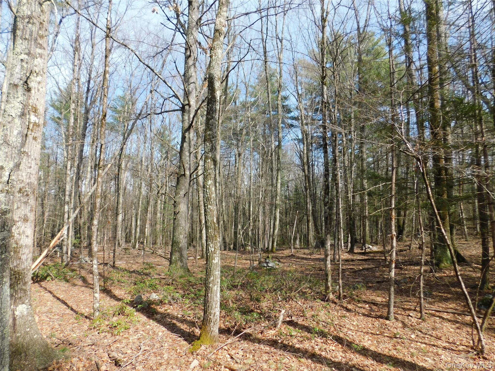 #10 photo, TBD Wright Rd, Kerhonkson , NY 12446