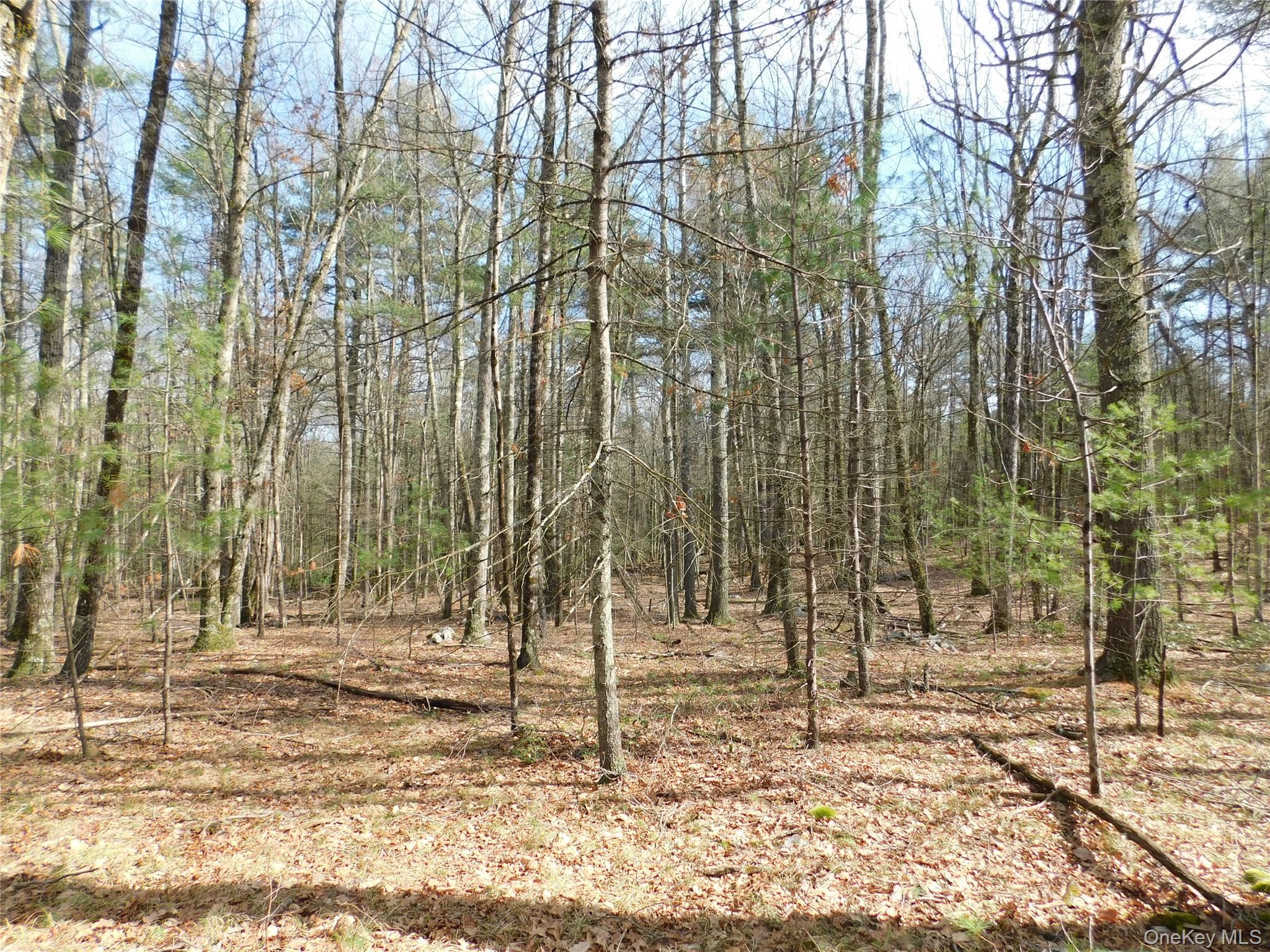 #12 photo, TBD Wright Rd, Kerhonkson , NY 12446