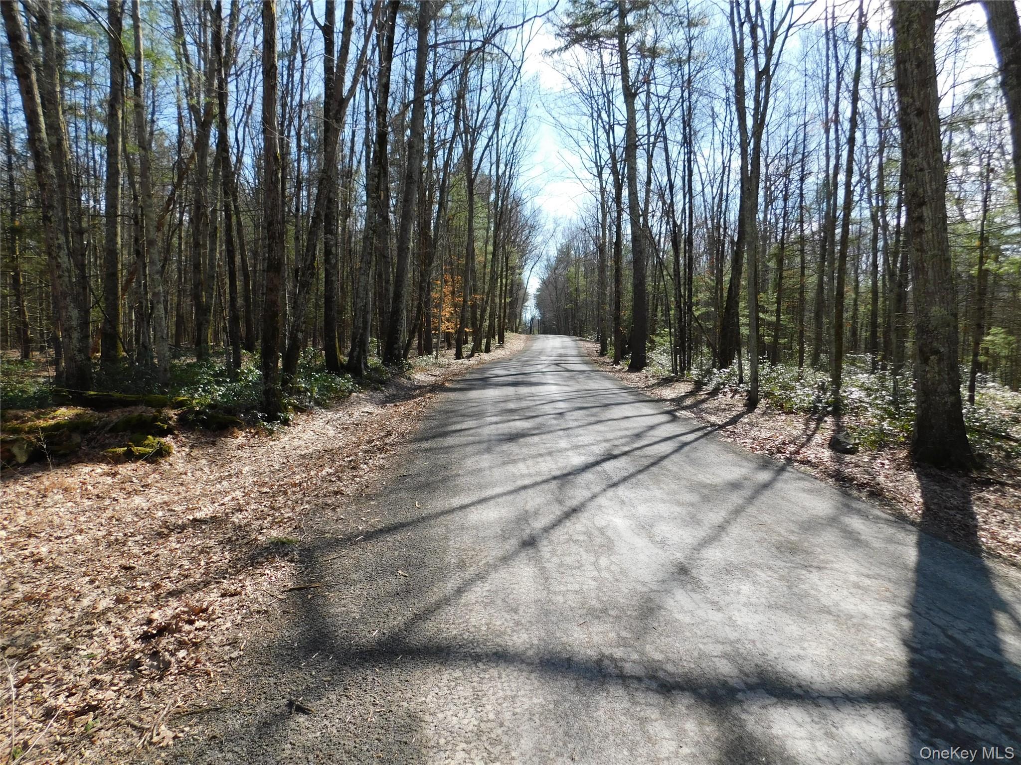 #2 photo, TBD Wright Rd, Kerhonkson , NY 12446