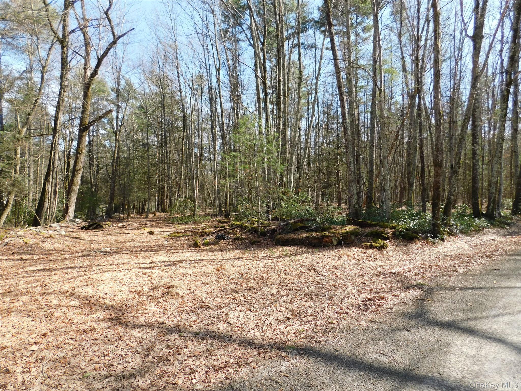 #3 photo, TBD Wright Rd, Kerhonkson , NY 12446