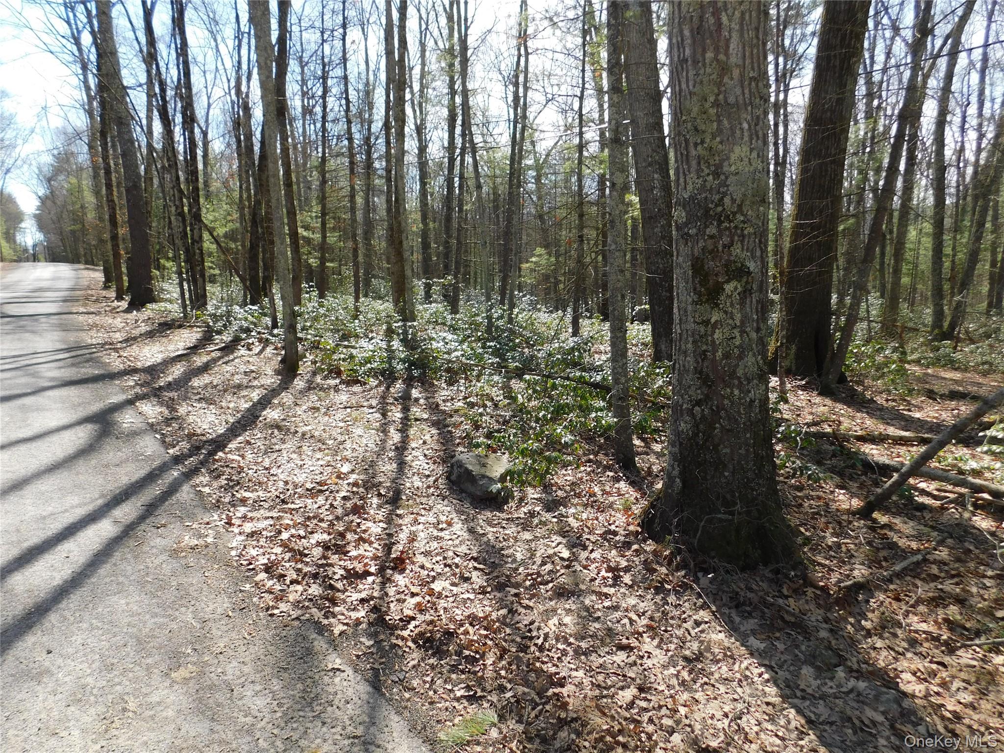 #4 photo, TBD Wright Rd, Kerhonkson , NY 12446