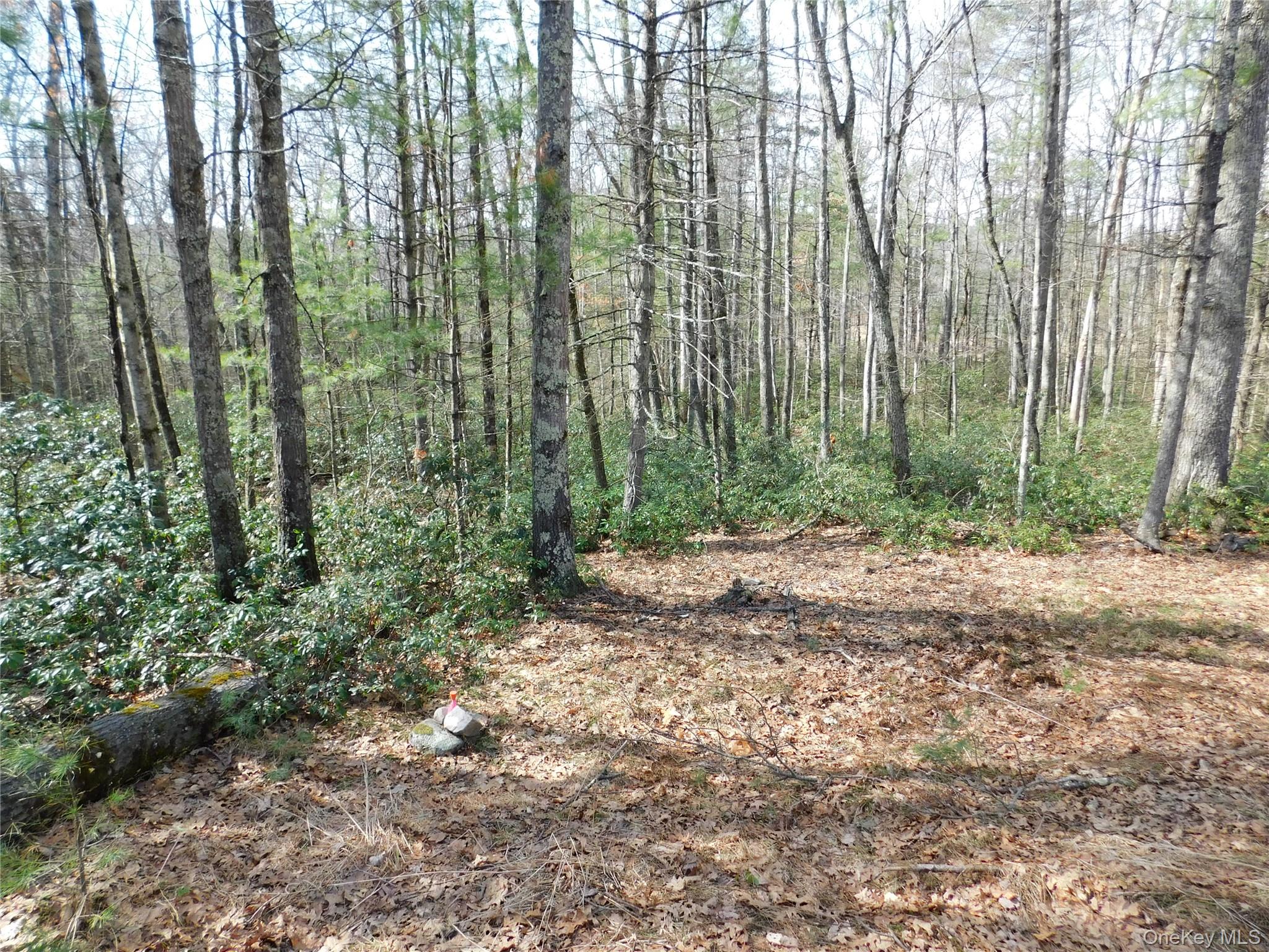 #5 photo, TBD Wright Rd, Kerhonkson , NY 12446