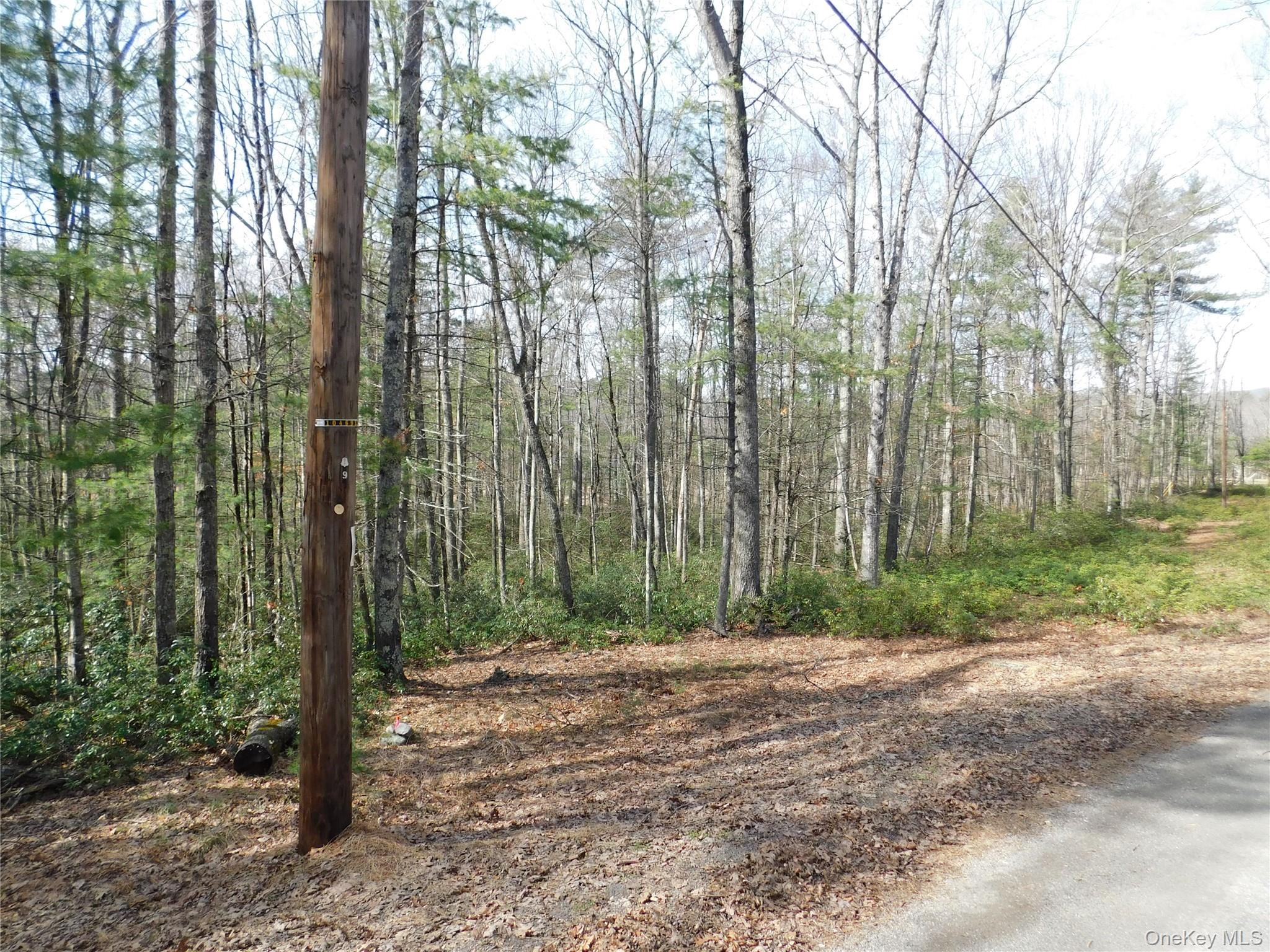 #6 photo, TBD Wright Rd, Kerhonkson , NY 12446