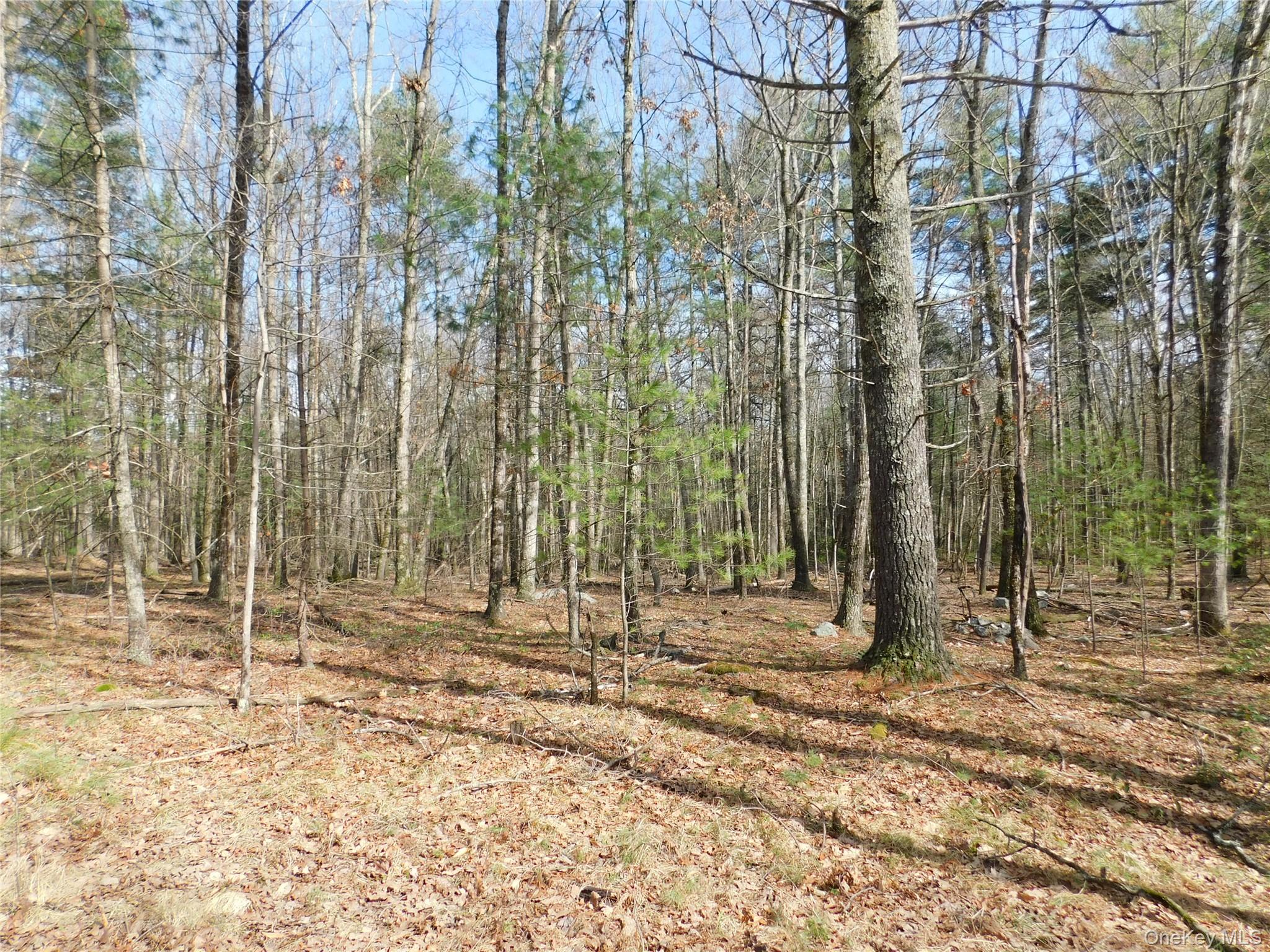 #7 photo, TBD Wright Rd, Kerhonkson , NY 12446