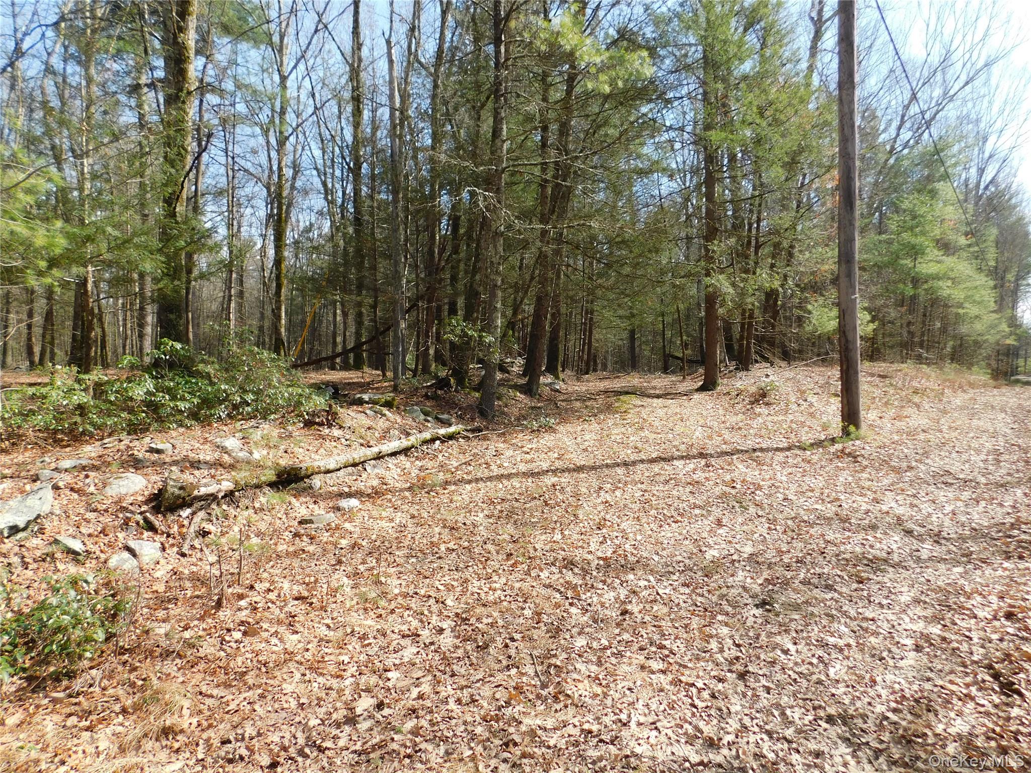 #8 photo, TBD Wright Rd, Kerhonkson , NY 12446