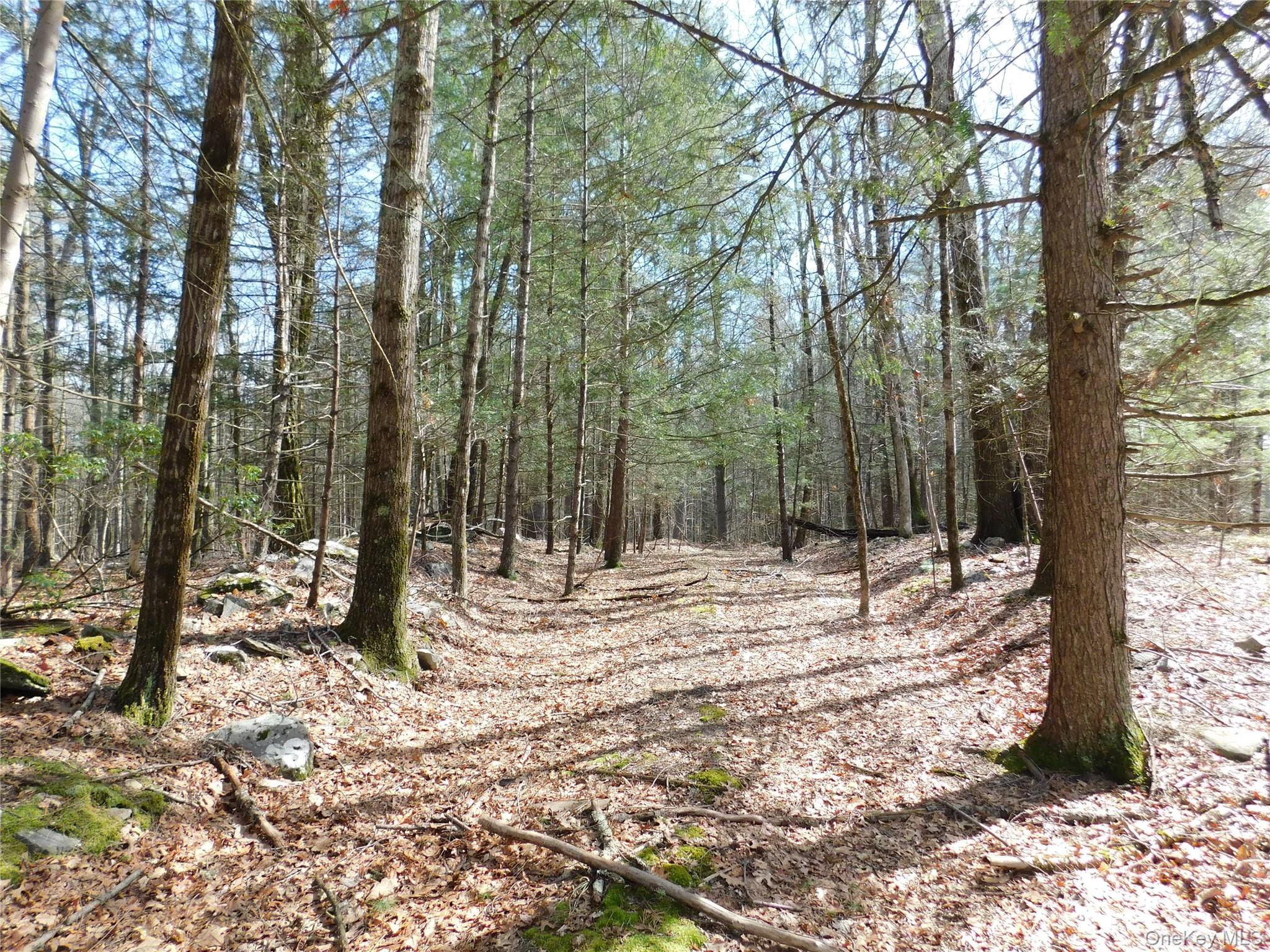 #9 photo, TBD Wright Rd, Kerhonkson , NY 12446