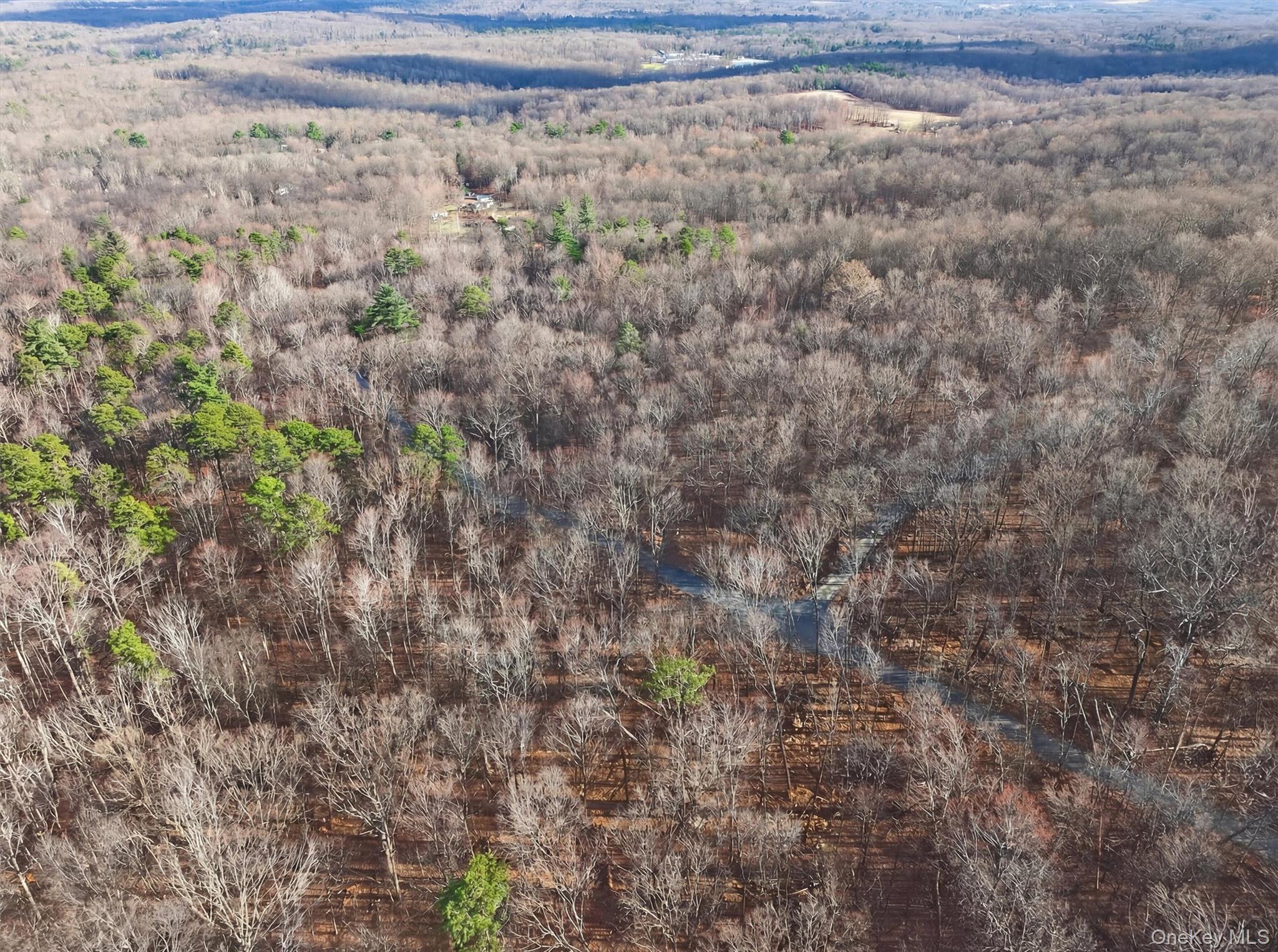 #1 photo, Lenni Lenape Avenue, Wurtsboro , NY 12790