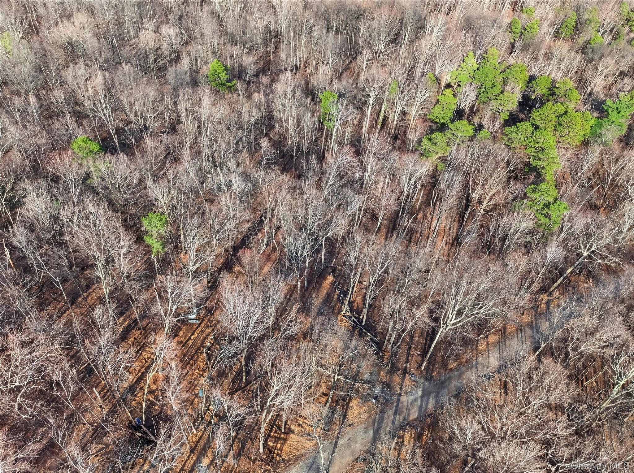 #10 photo, Lenni Lenape Avenue, Wurtsboro , NY 12790