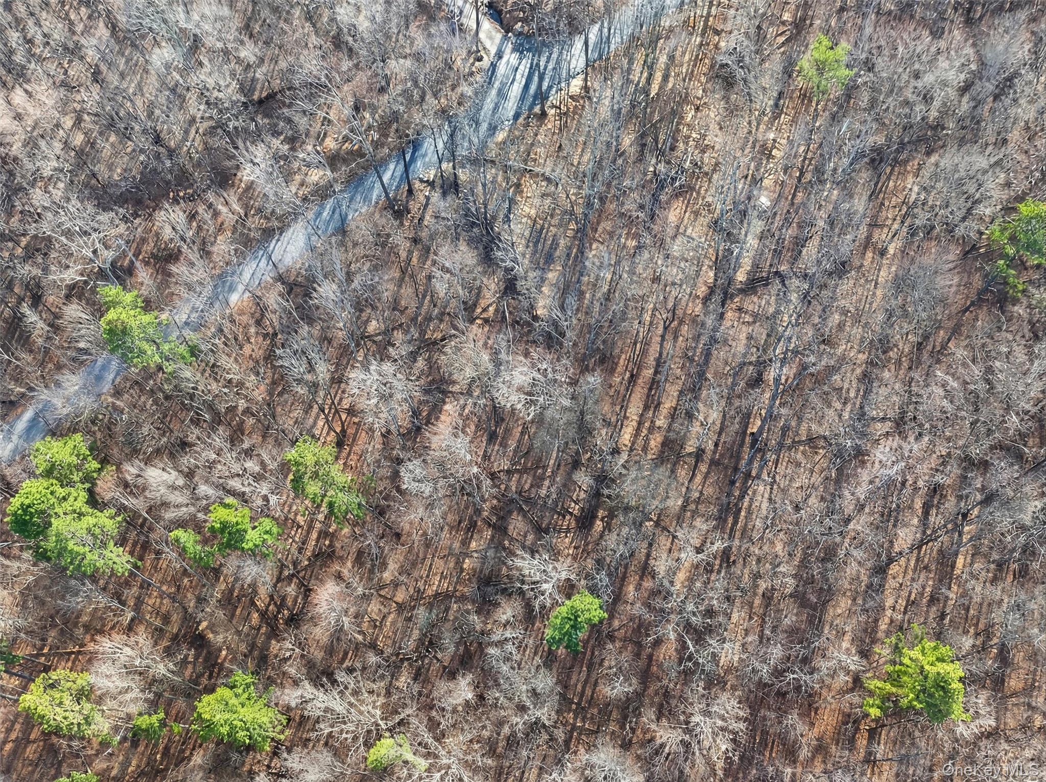 #12 photo, Lenni Lenape Avenue, Wurtsboro , NY 12790