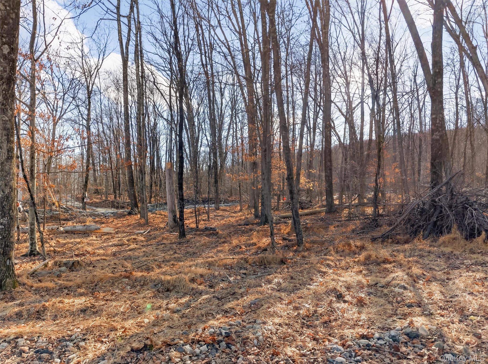 #13 photo, Lenni Lenape Avenue, Wurtsboro , NY 12790