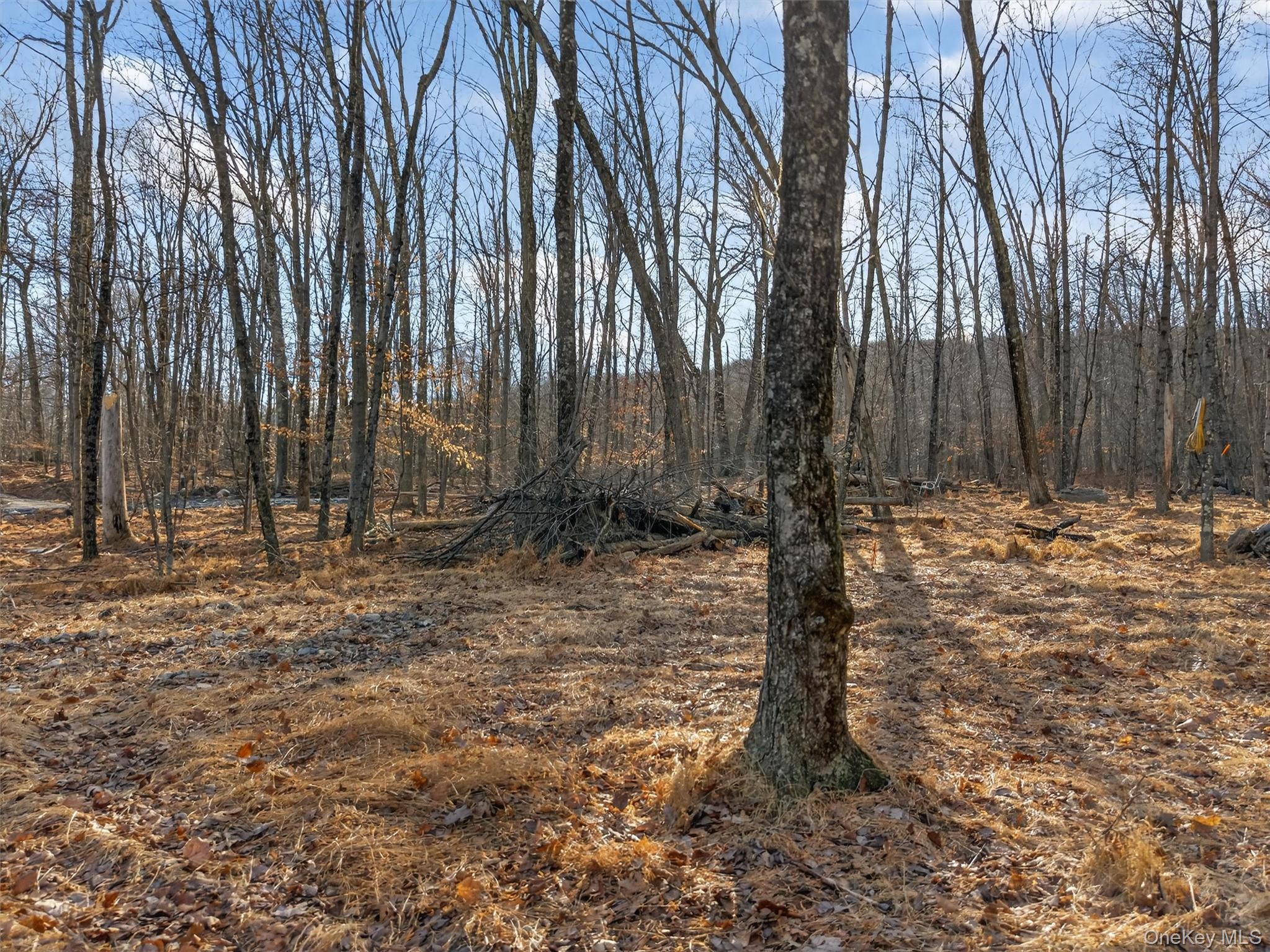 #14 photo, Lenni Lenape Avenue, Wurtsboro , NY 12790