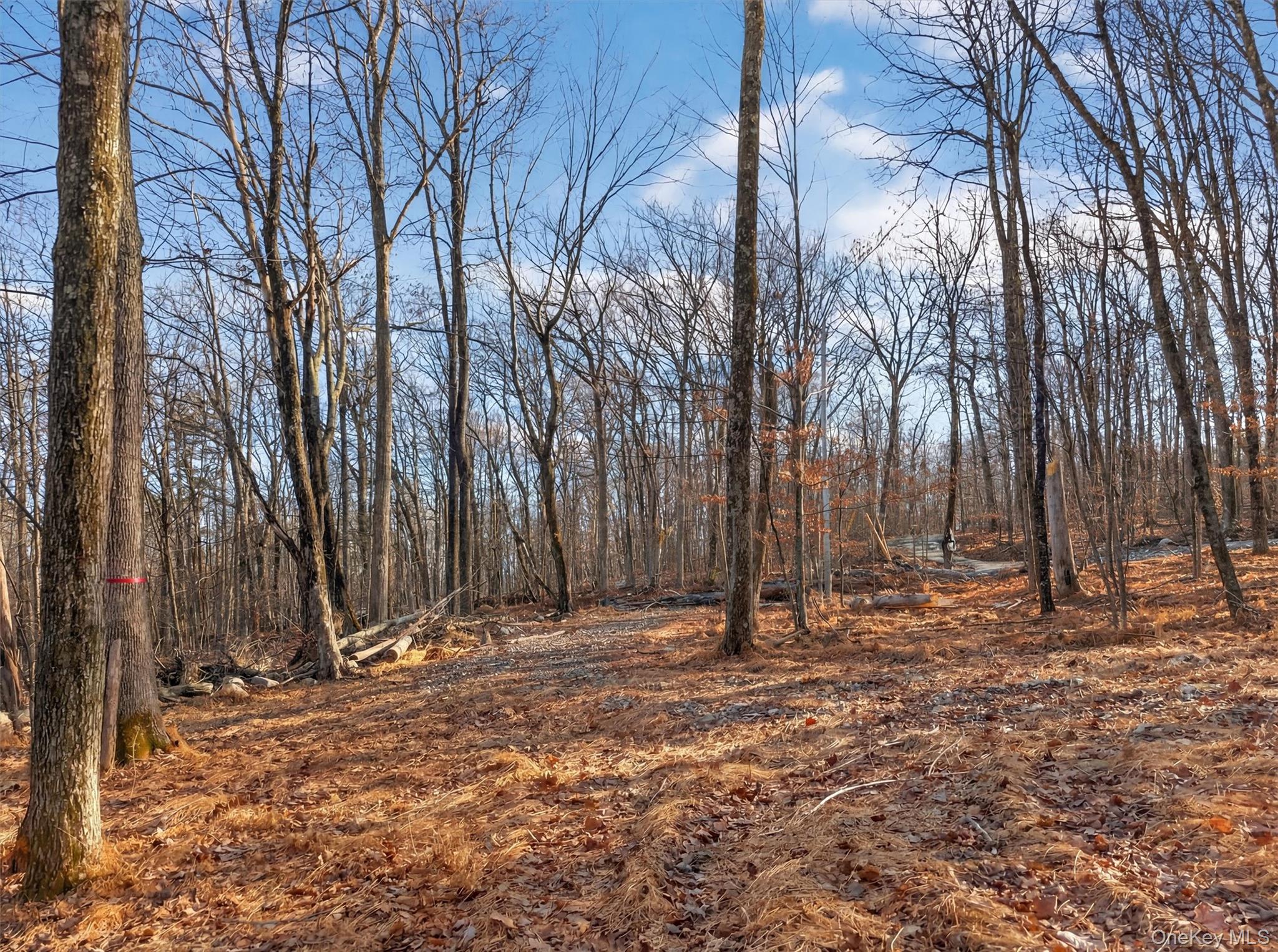 #15 photo, Lenni Lenape Avenue, Wurtsboro , NY 12790