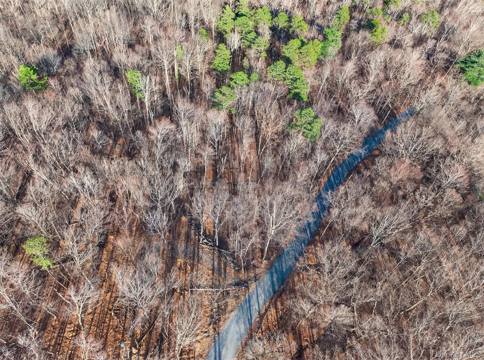 #16 photo, Lenni Lenape Avenue, Wurtsboro , NY 12790