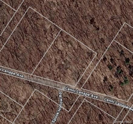 #3 photo, Lenni Lenape Avenue, Wurtsboro , NY 12790