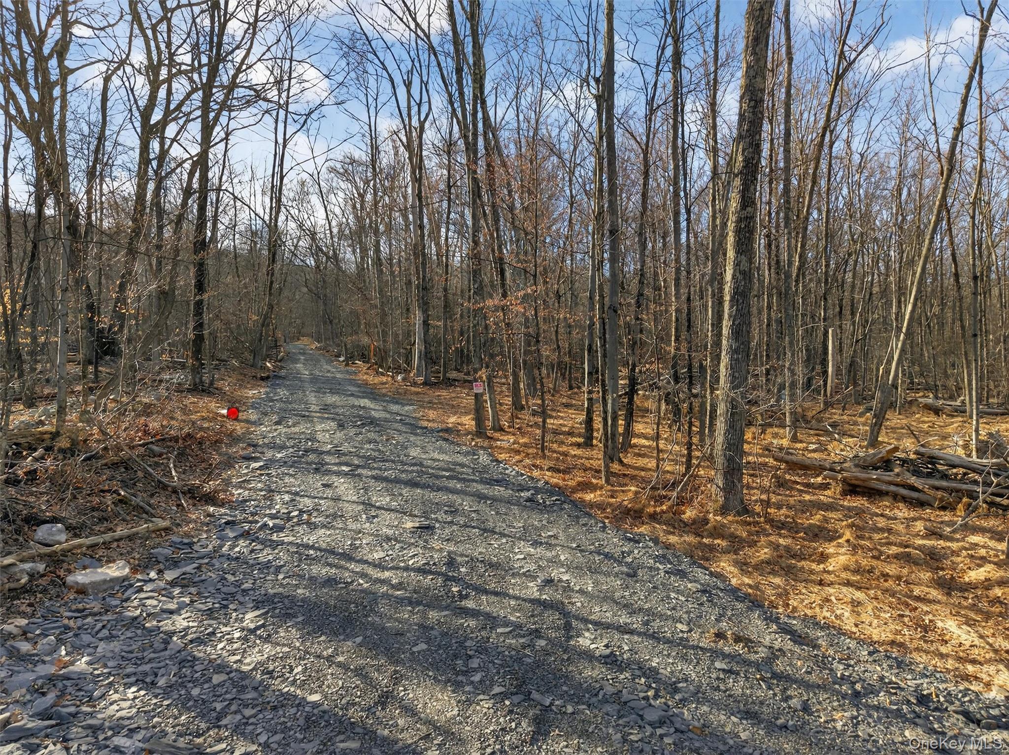 #4 photo, Lenni Lenape Avenue, Wurtsboro , NY 12790