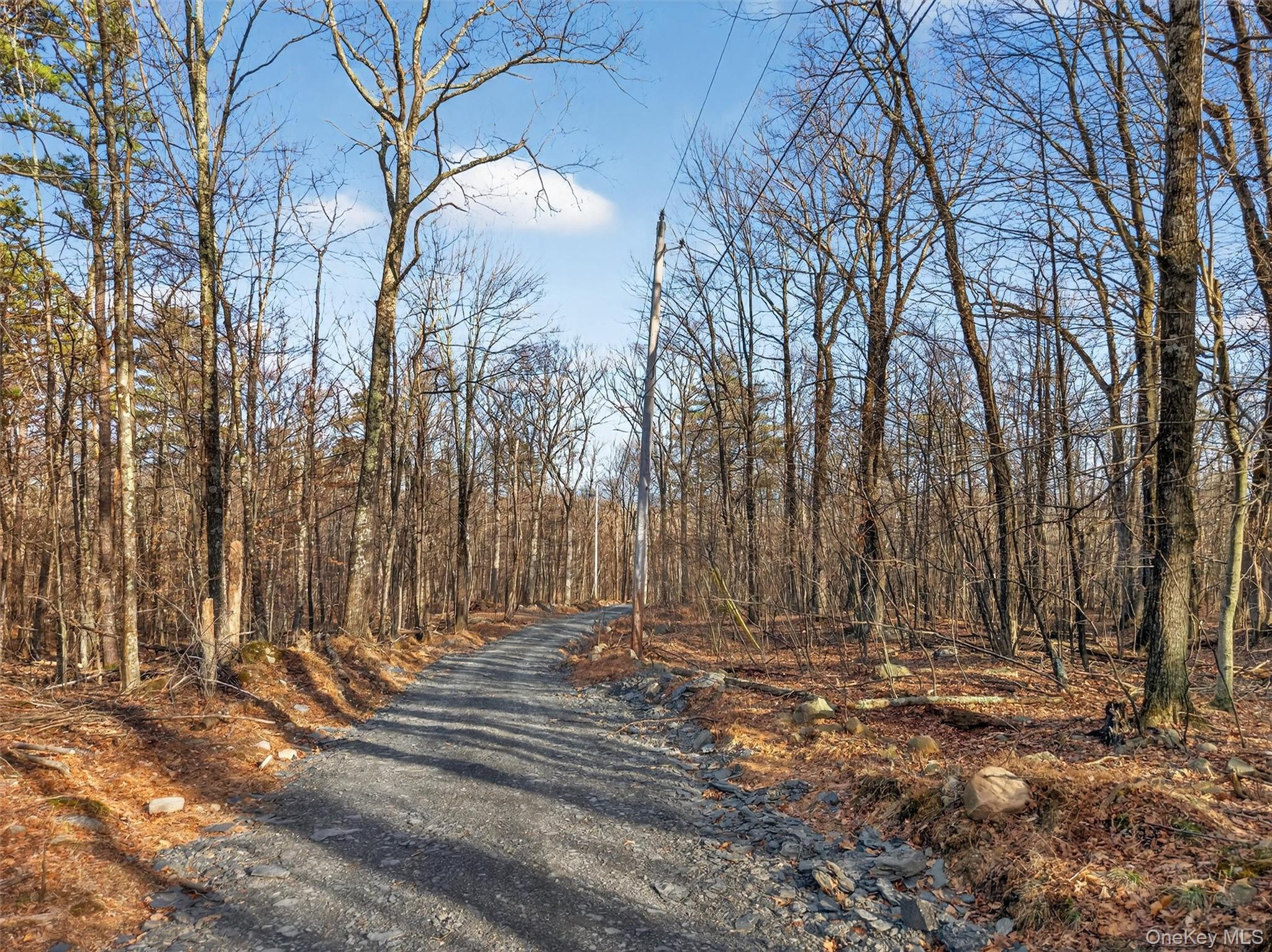 #5 photo, Lenni Lenape Avenue, Wurtsboro , NY 12790