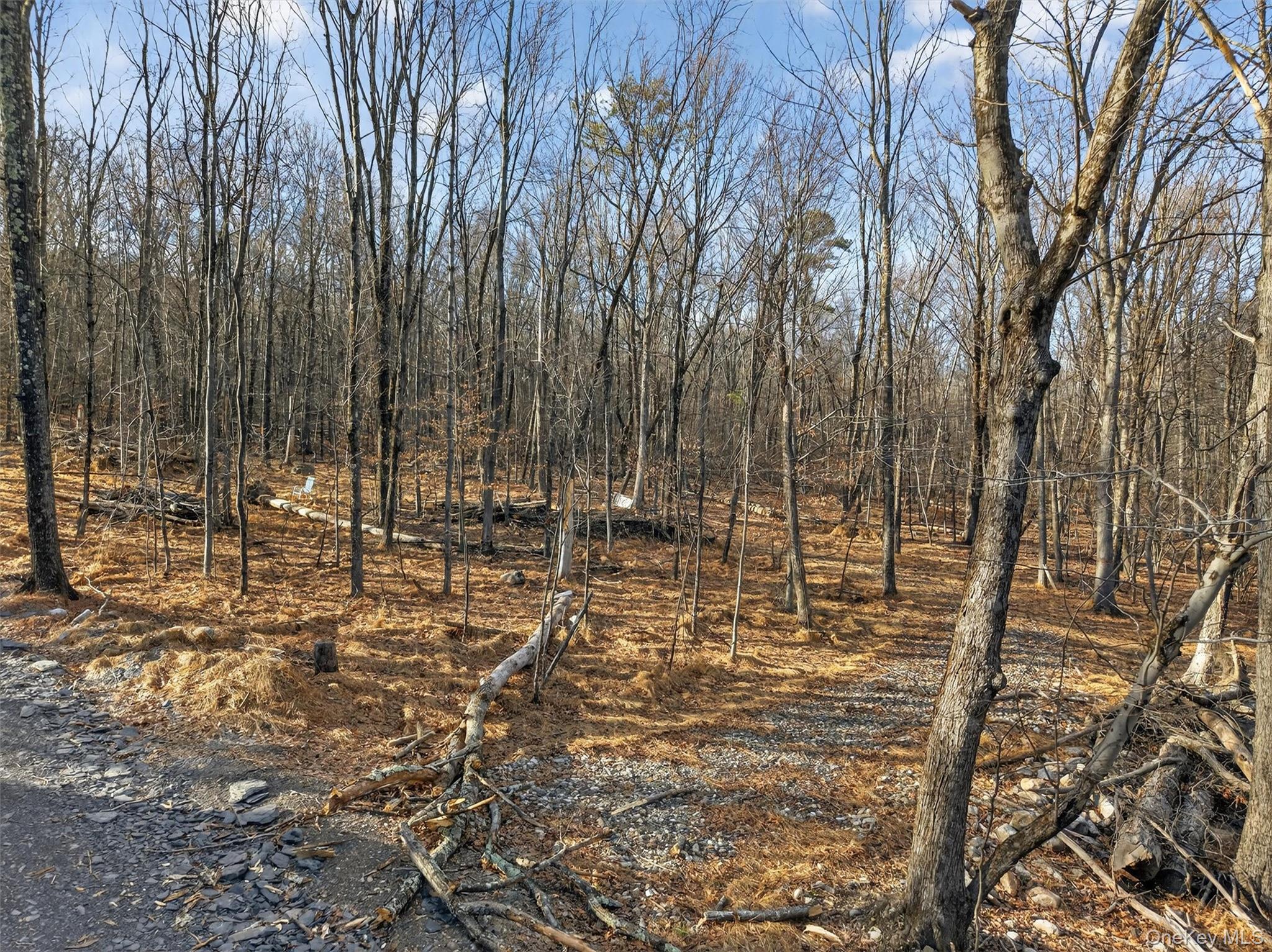 #6 photo, Lenni Lenape Avenue, Wurtsboro , NY 12790