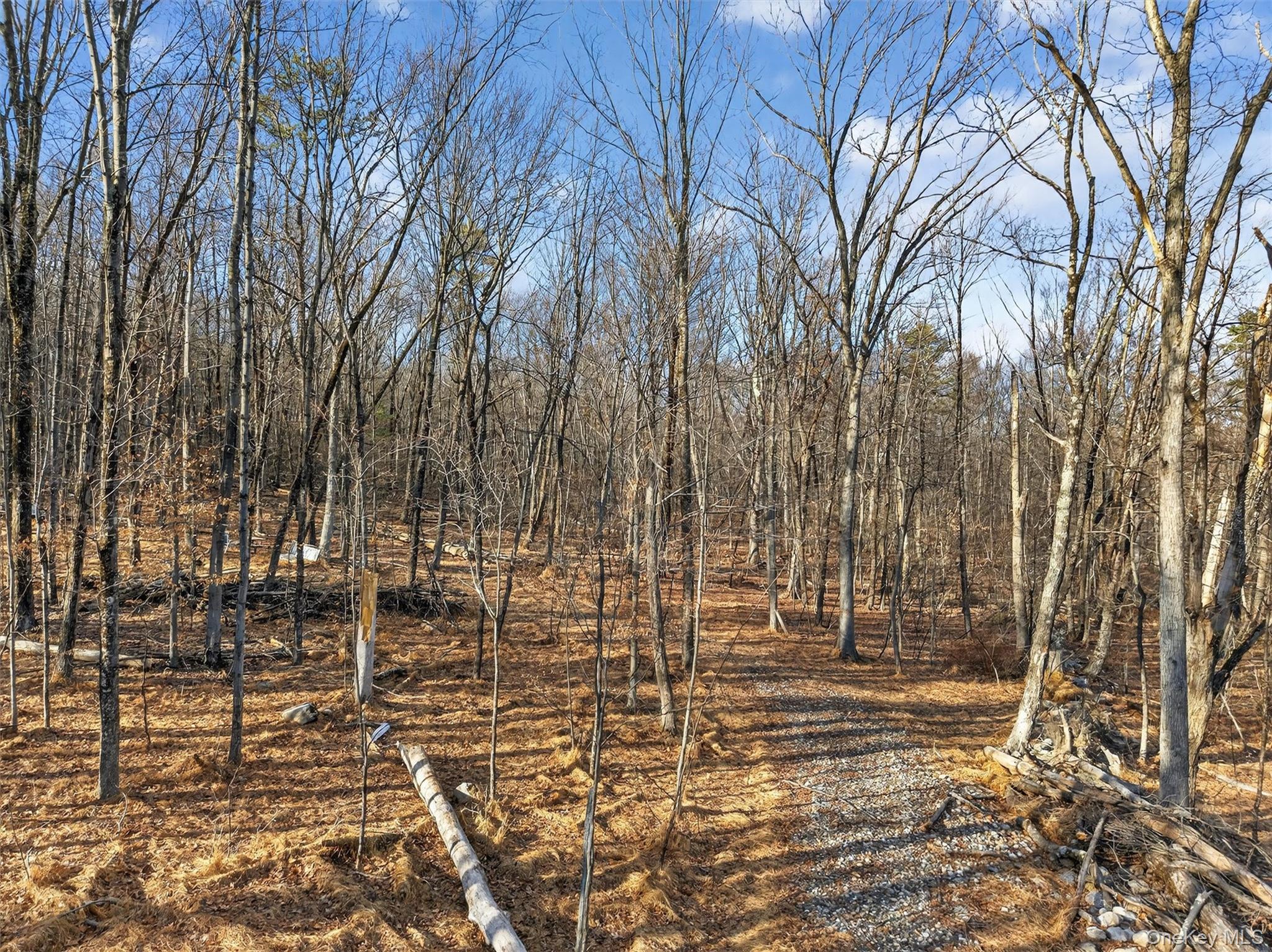 #7 photo, Lenni Lenape Avenue, Wurtsboro , NY 12790