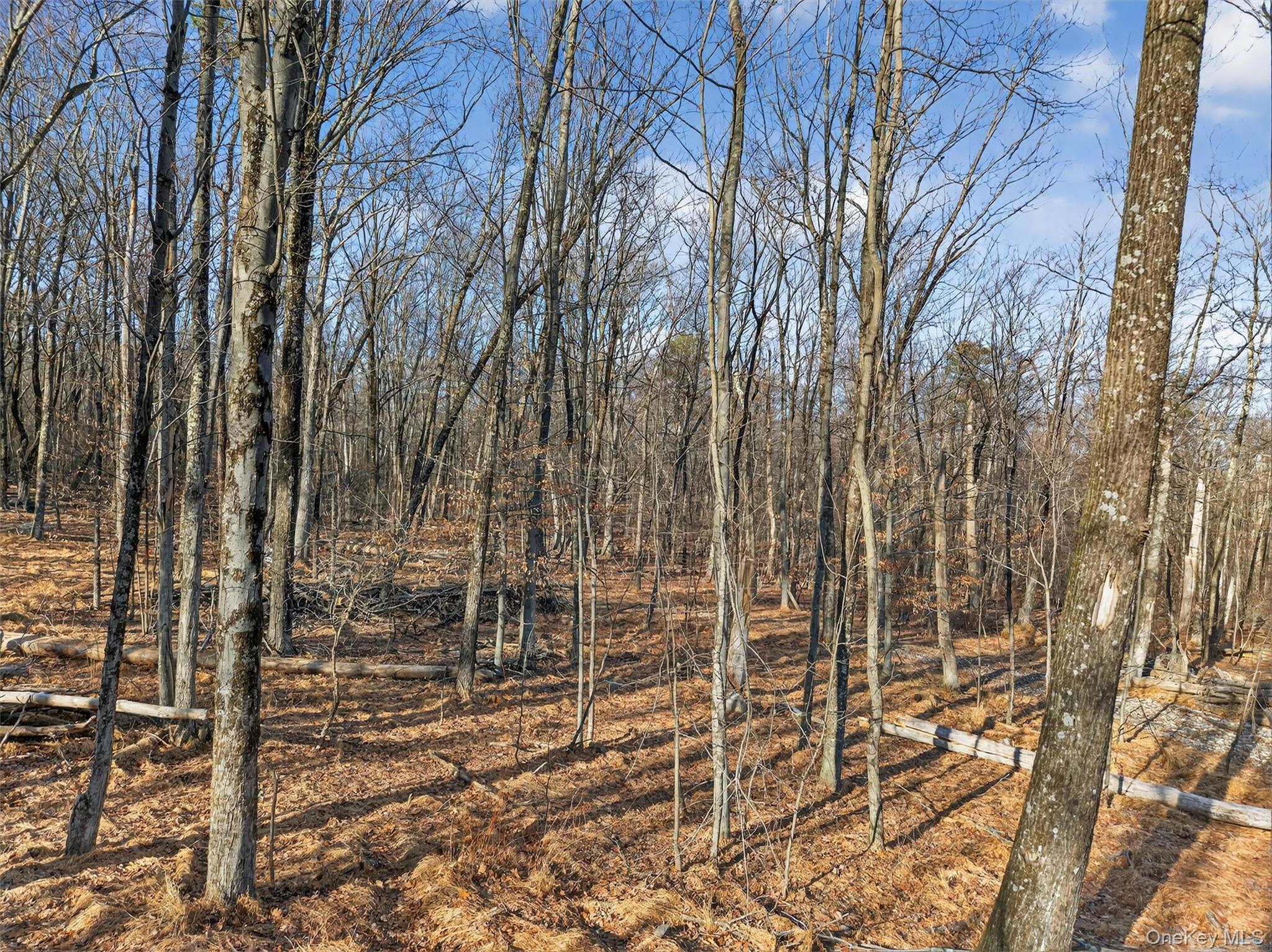 #8 photo, Lenni Lenape Avenue, Wurtsboro , NY 12790