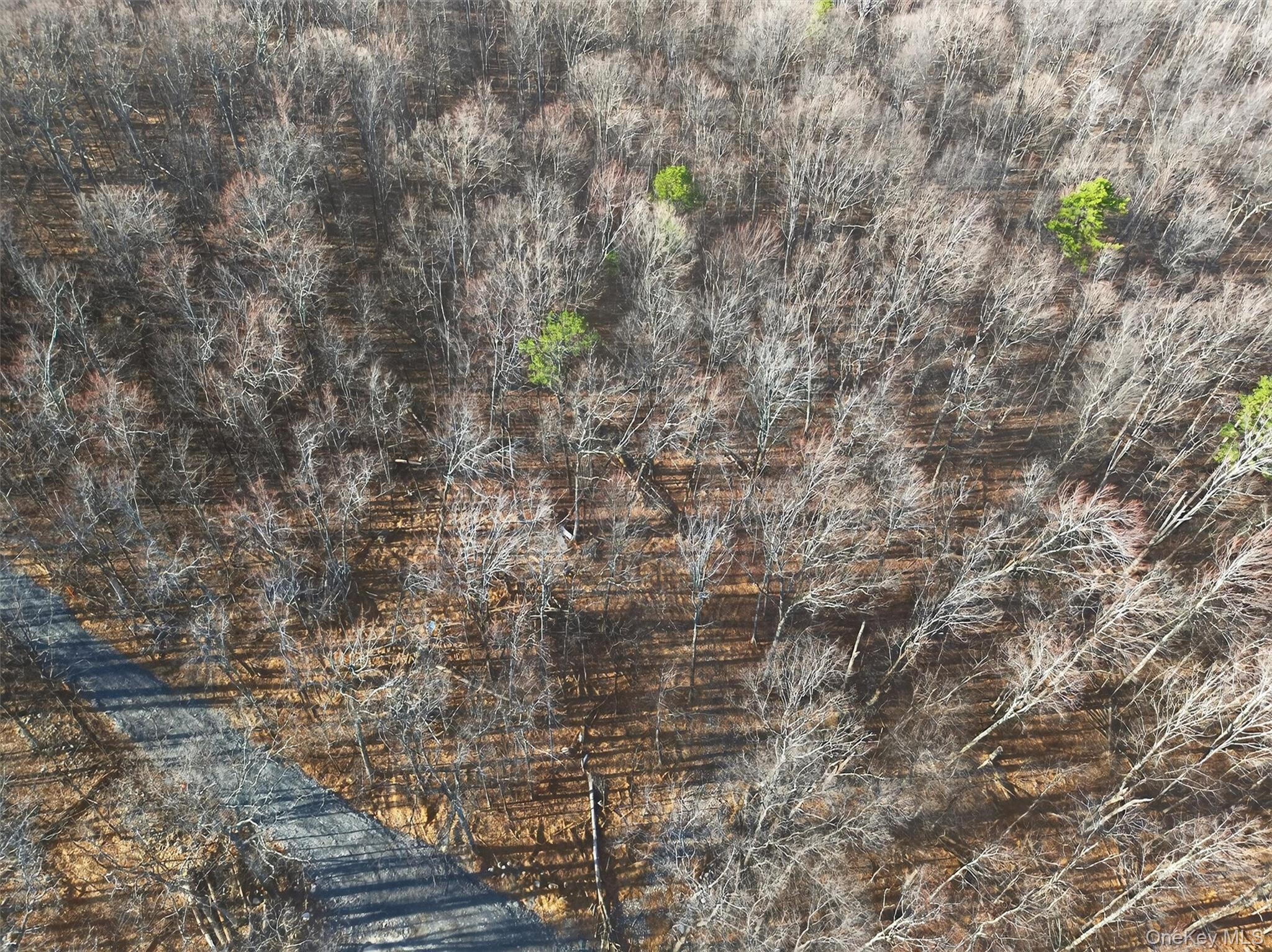 #9 photo, Lenni Lenape Avenue, Wurtsboro , NY 12790