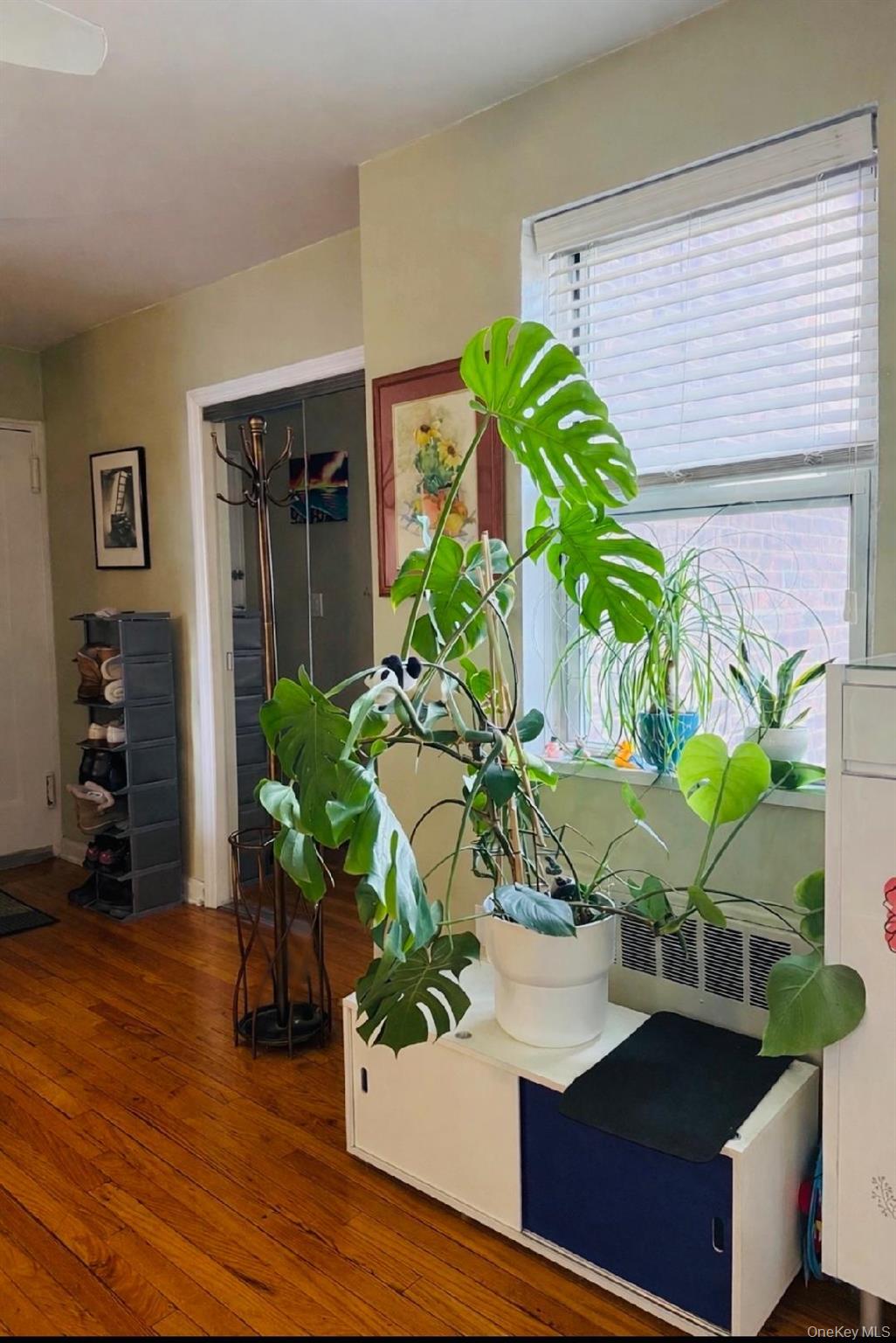 #10 photo, 69-11 138th Street, কুইন্‌স Flushing , NY 11367