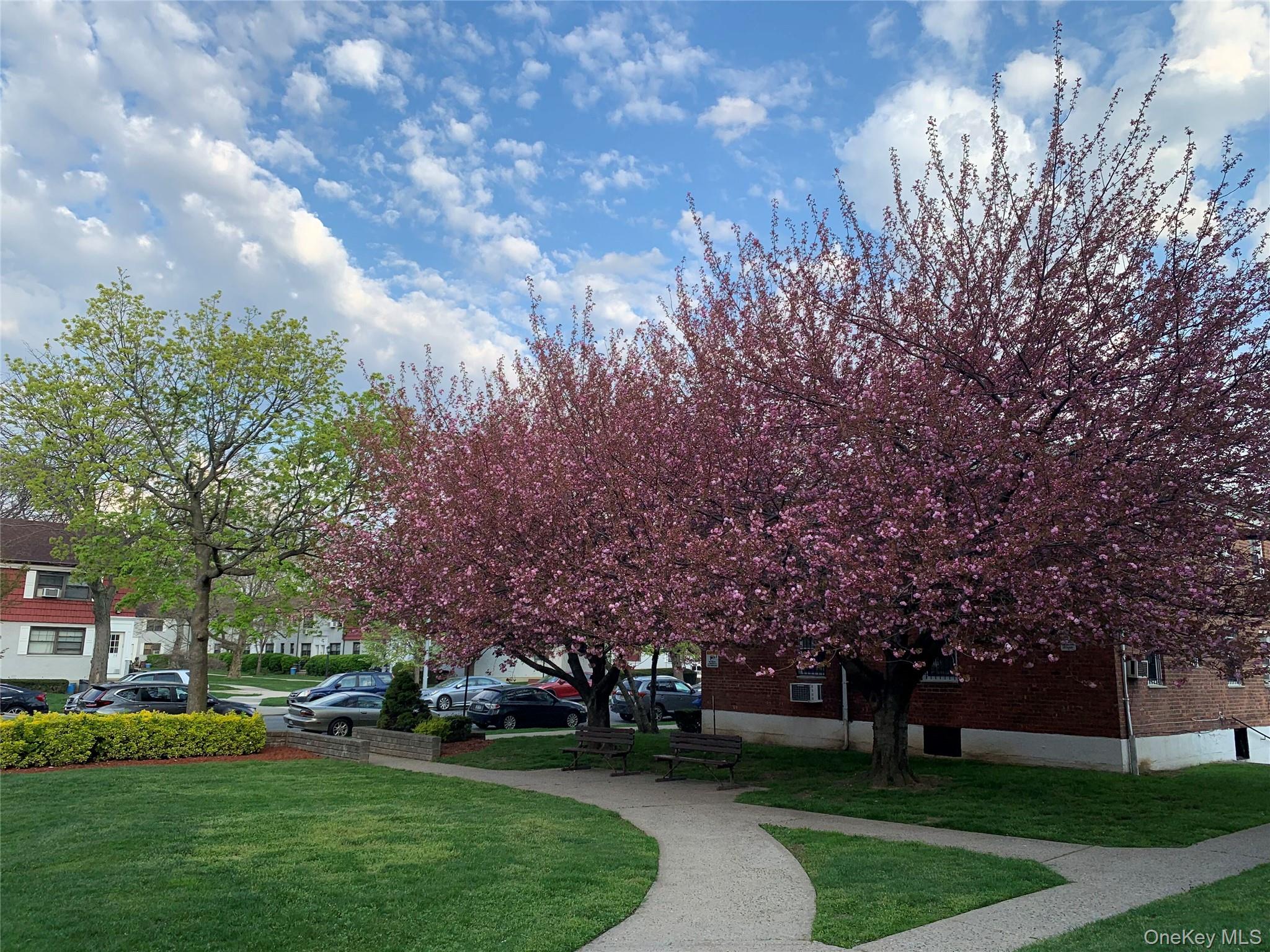 #19 photo, 69-11 138th Street, কুইন্‌স Flushing , NY 11367