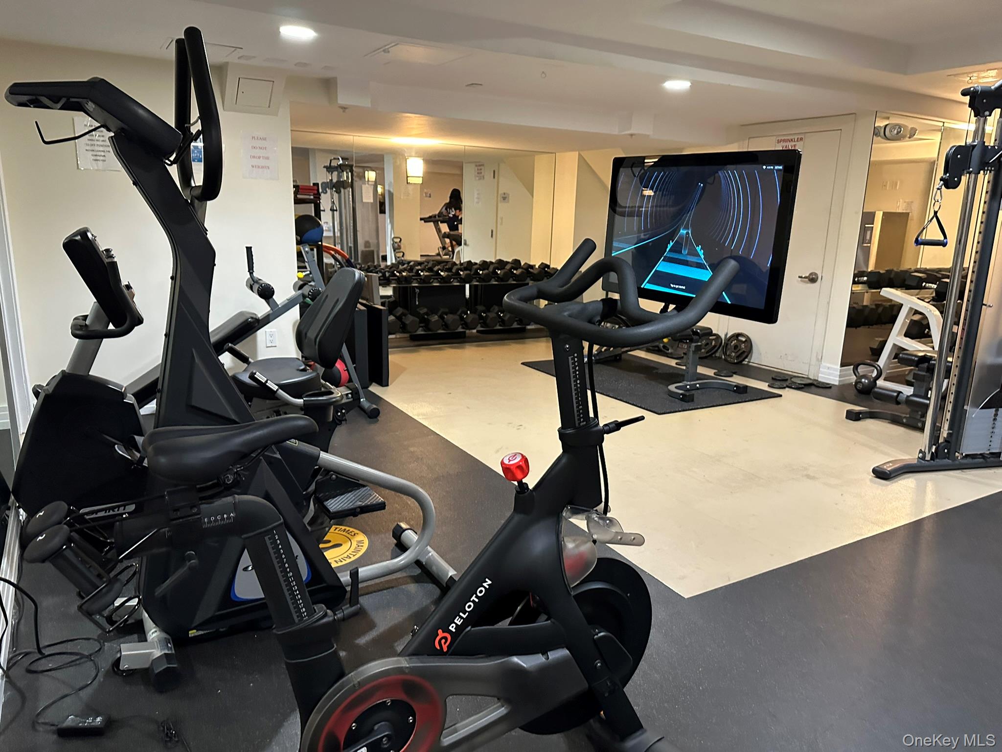 #10 photo, 64-05 Yellowstone Boulevard, কুইন্‌স Forest Hills , NY 11375