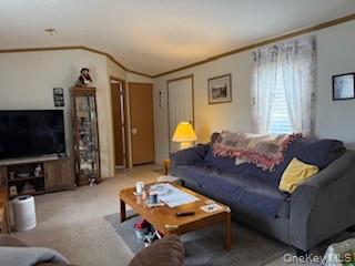 #8 photo, 115 Winding Wood, Hopewell Junction , NY 12533