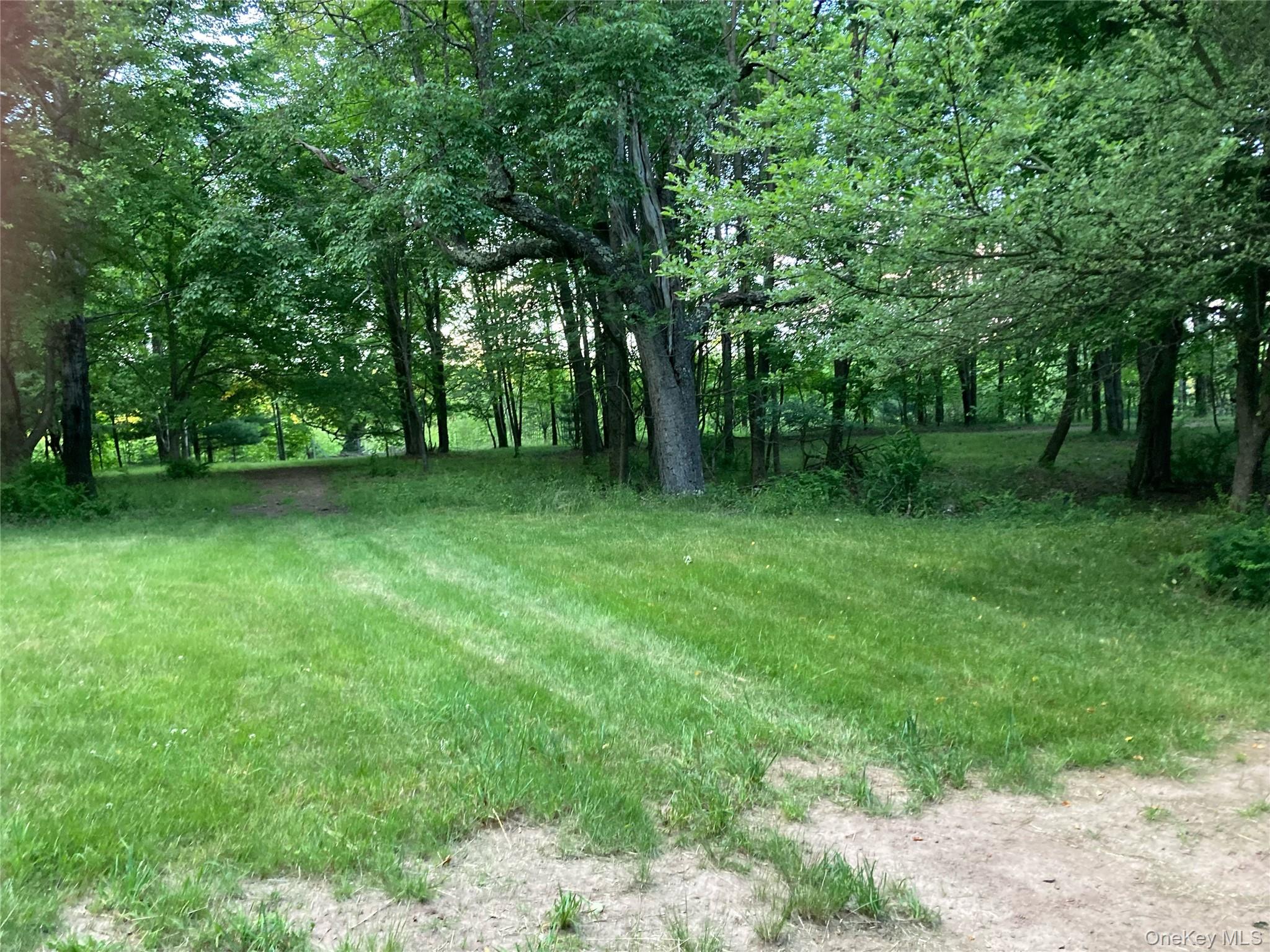 #11 photo, California Avenue, Liberty , NY 12754