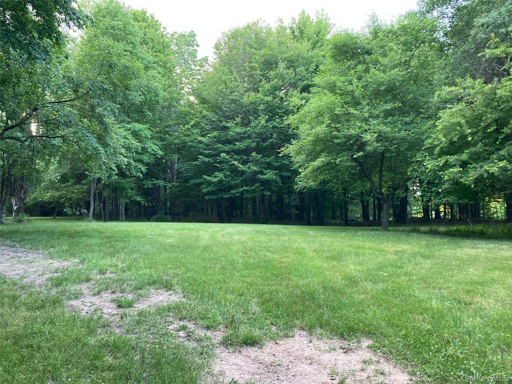 #12 photo, California Avenue, Liberty , NY 12754