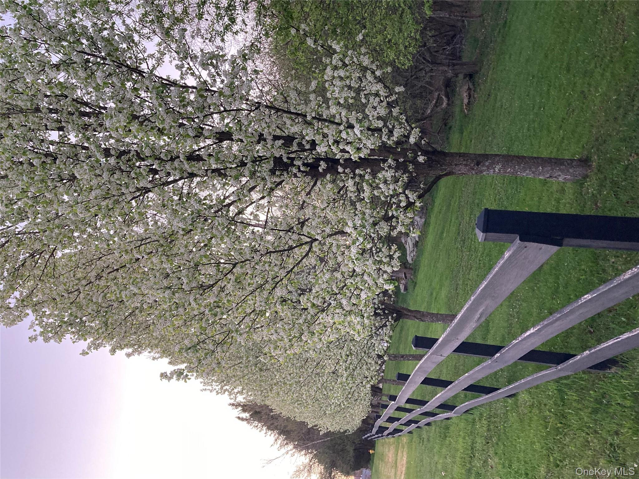 #13 photo, California Avenue, Liberty , NY 12754