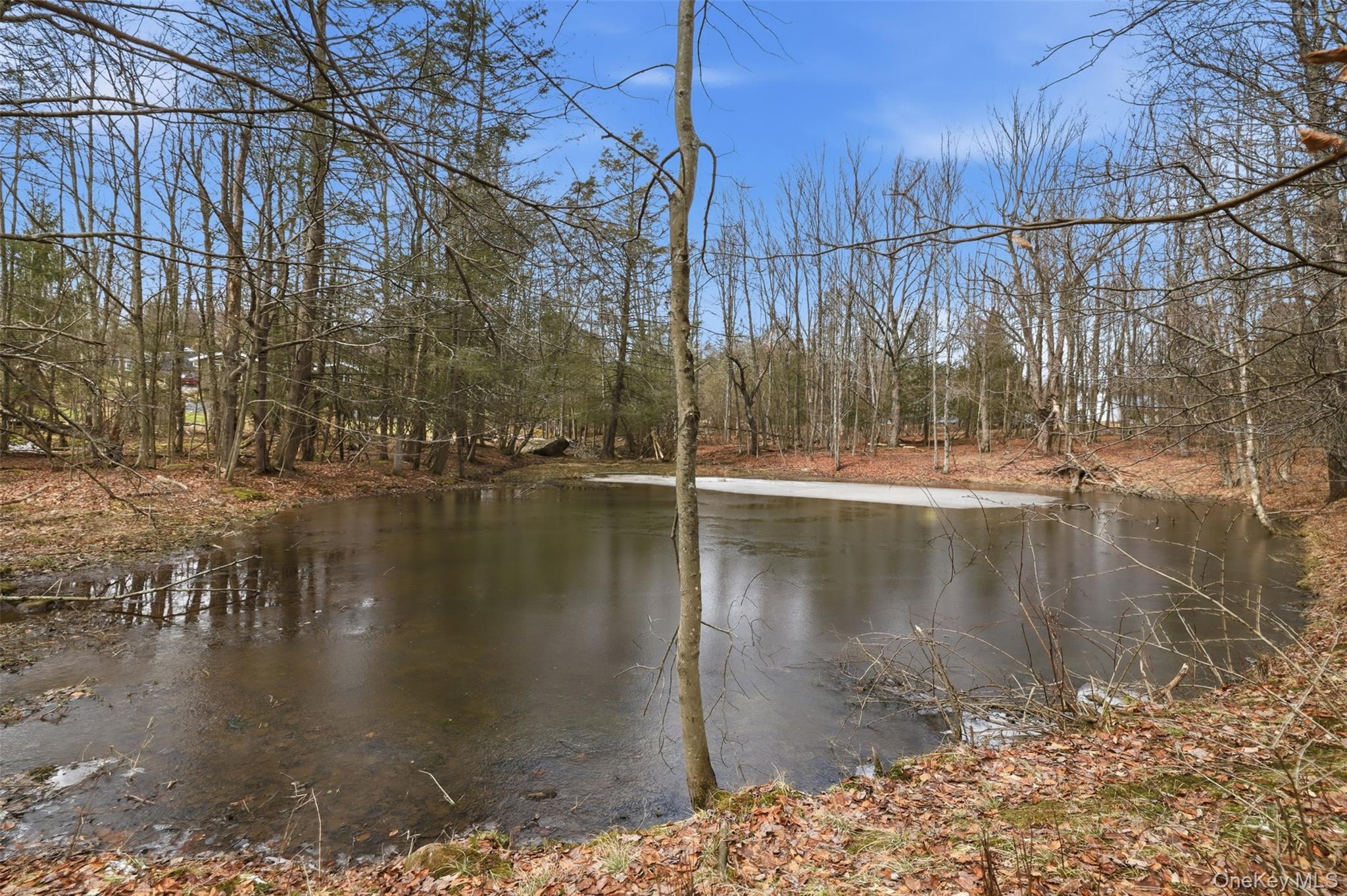 #15 photo, California Avenue, Liberty , NY 12754