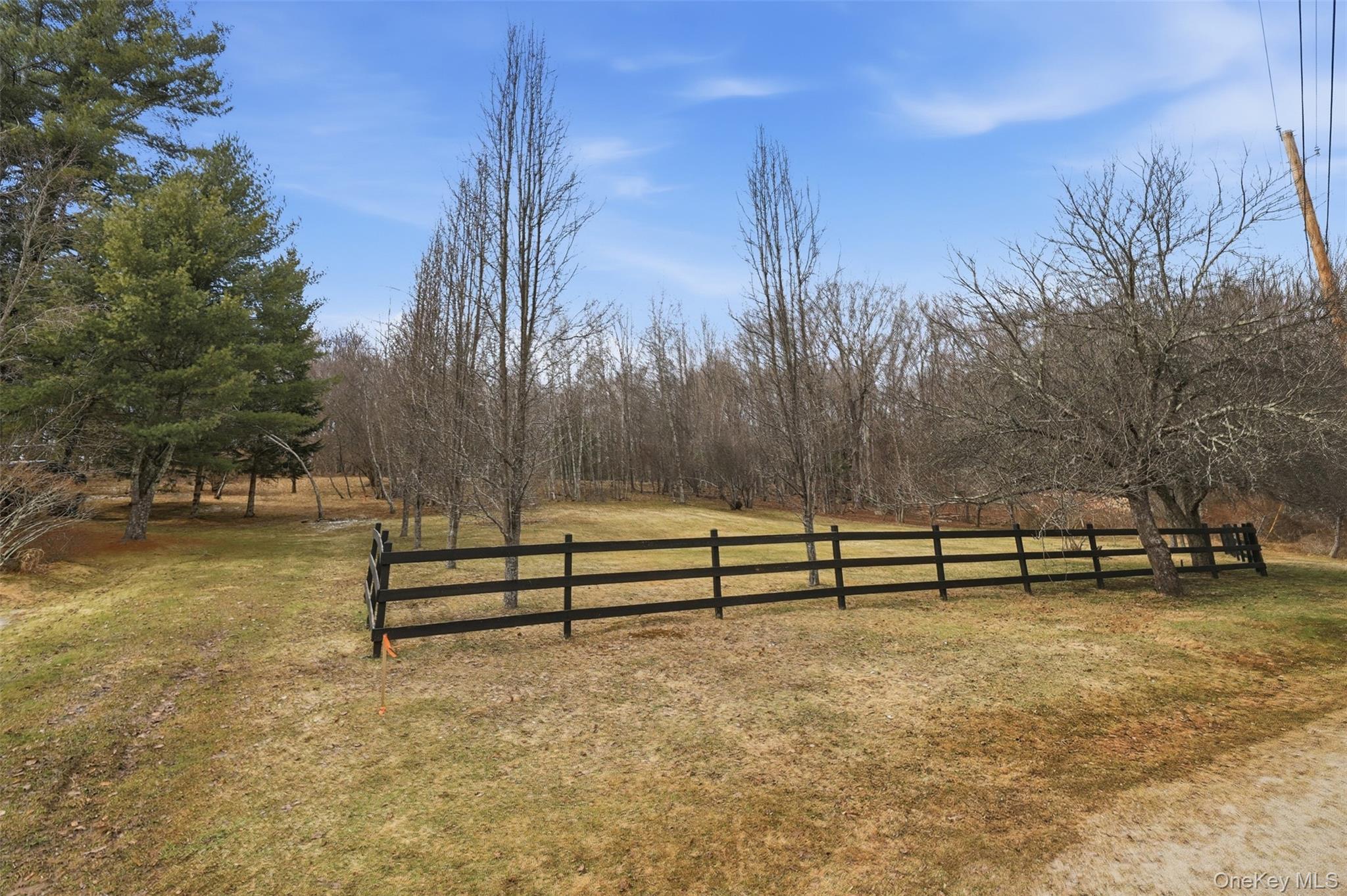 #19 photo, California Avenue, Liberty , NY 12754