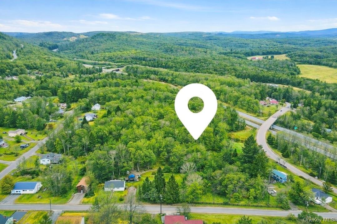 #2 photo, California Avenue, Liberty , NY 12754